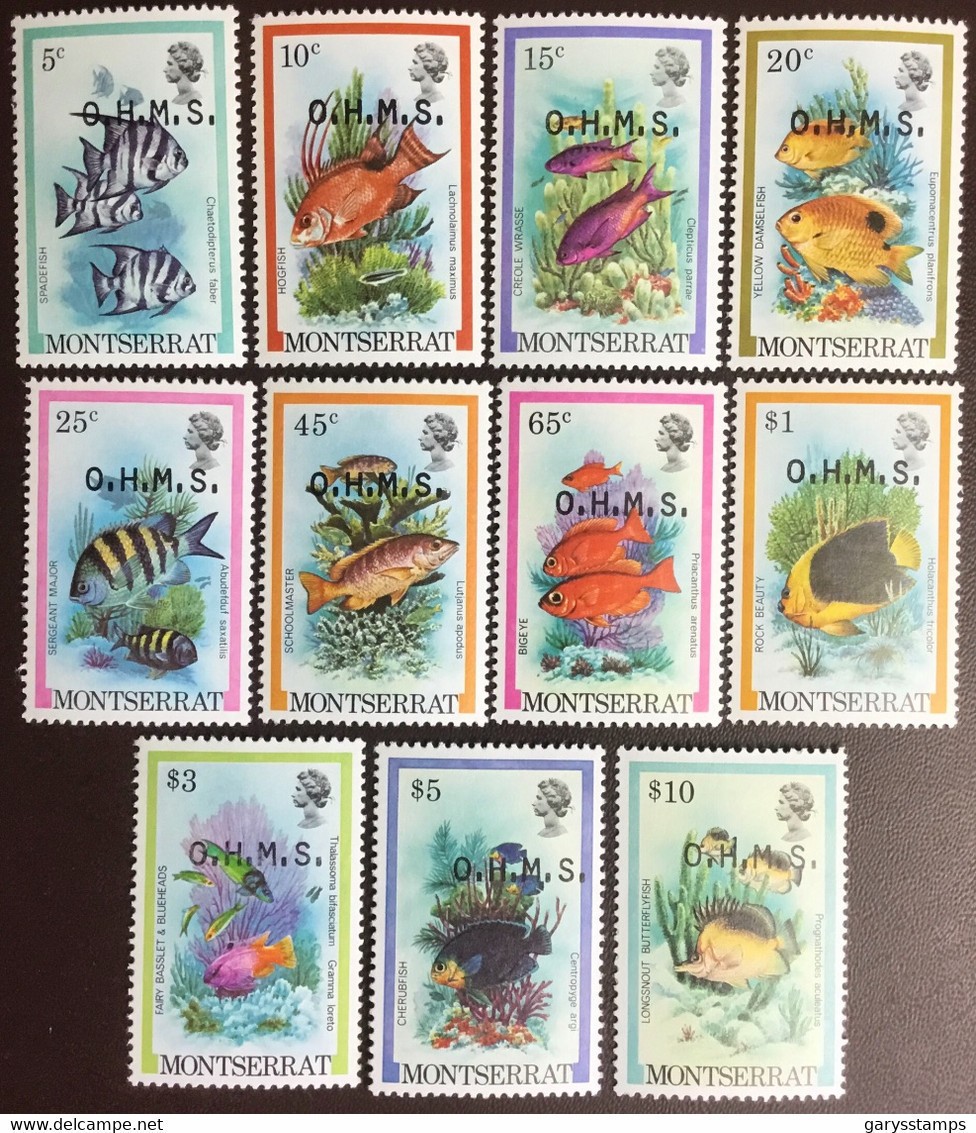 Montserrat 1981 Official Marine Life Fish Set MNH - Fische