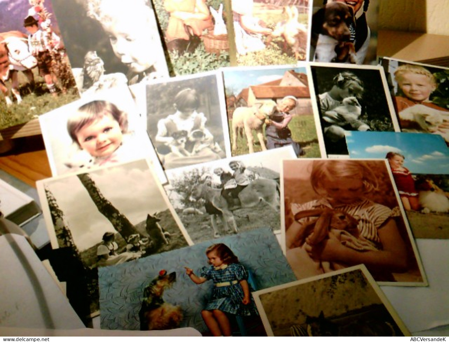 Nostalgie / Vintage. Kinder Mit Lieblingstieren. Konvolut. 15 X Alte Ansichtskarte / Postkarte S/w U. Farbig, - Ohne Zuordnung