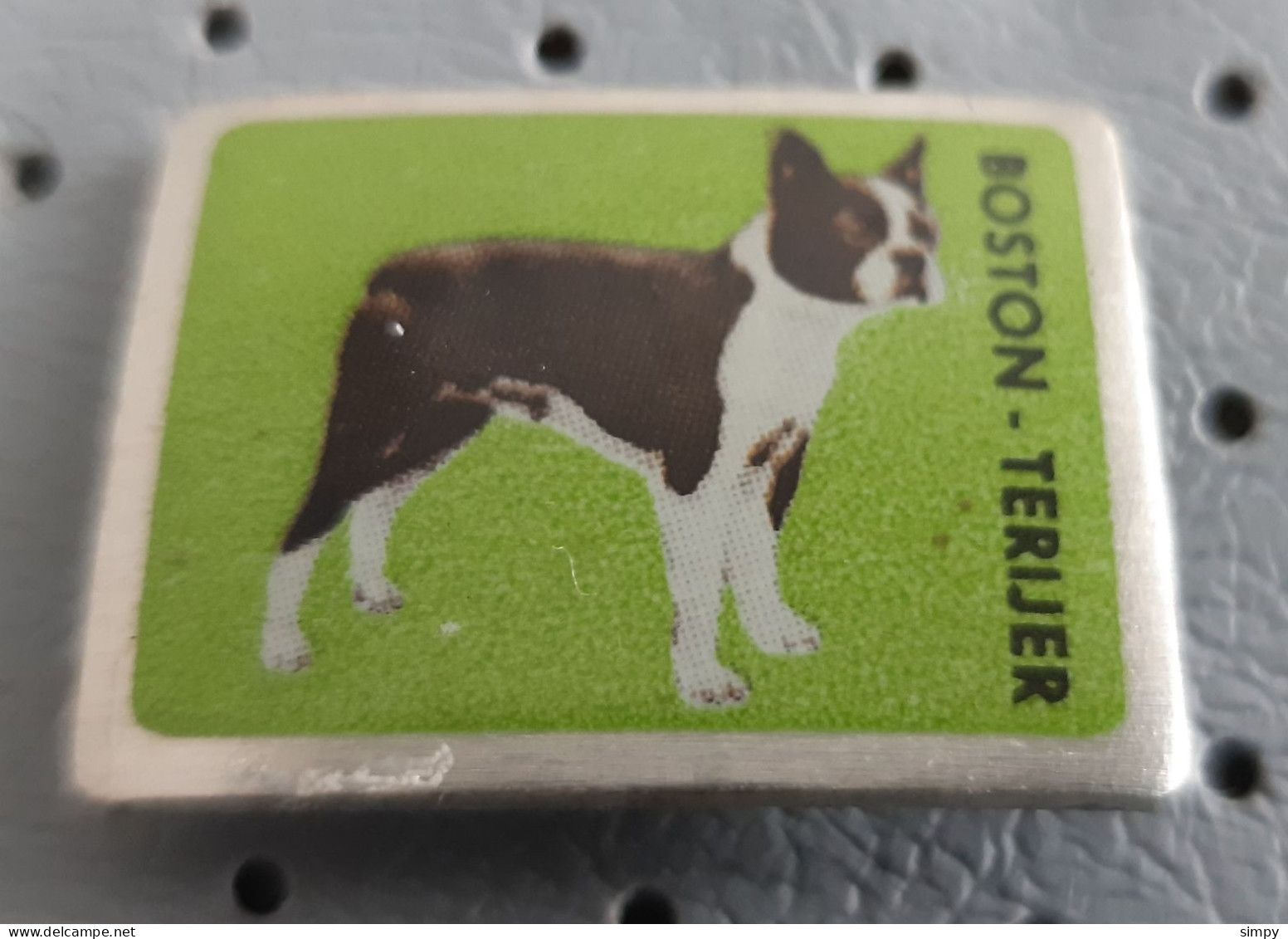 BOSTON TERRIER  Dog Slovenia Pin - Animals