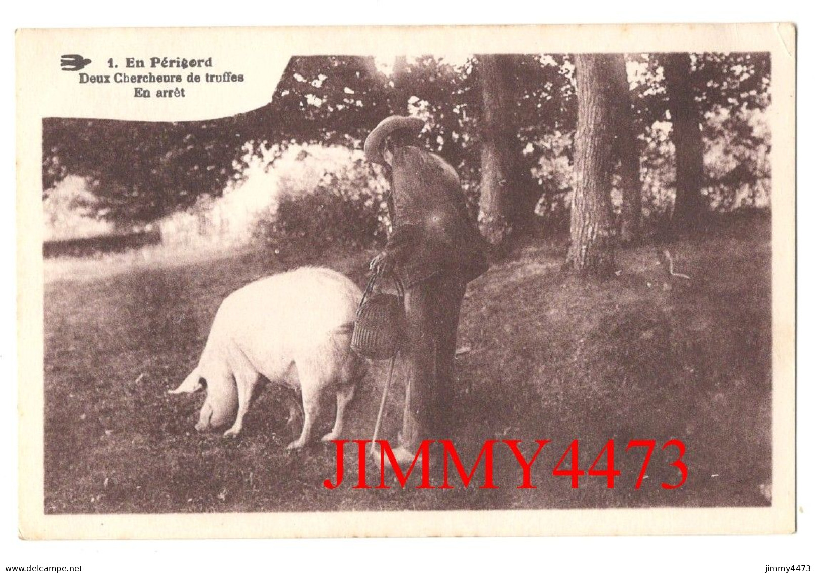 CPA - En Périgord - Deux Chercheurs De Truffes En Arrêt - Edit. La Mouette - Pigs