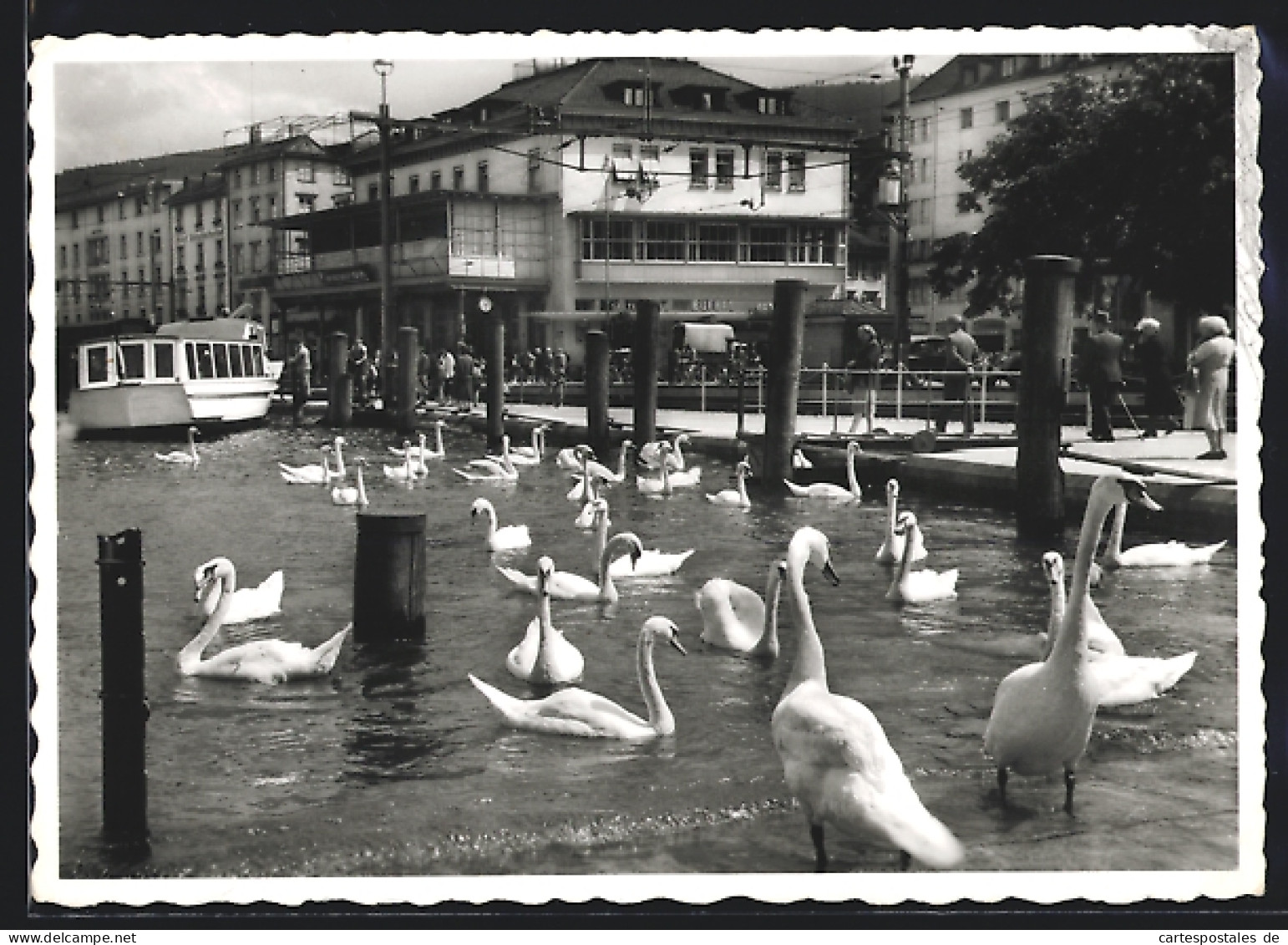 AK Rorschach, Hafen Am Bodensee  - Rorschach