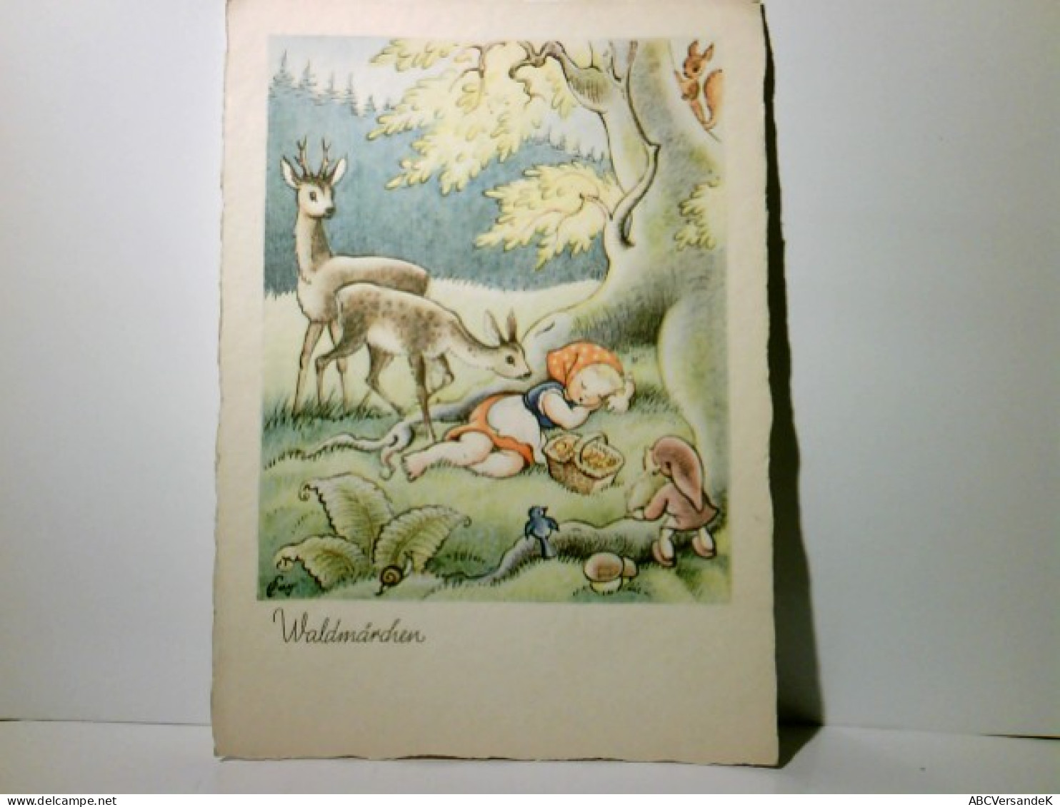 Nostalgie / Vintage. Waldmärchen. Alte Ansichtskarte / Künstlerkarte Farbig Von Ernst Fay, Ungel. Ca 30ger J - Ohne Zuordnung