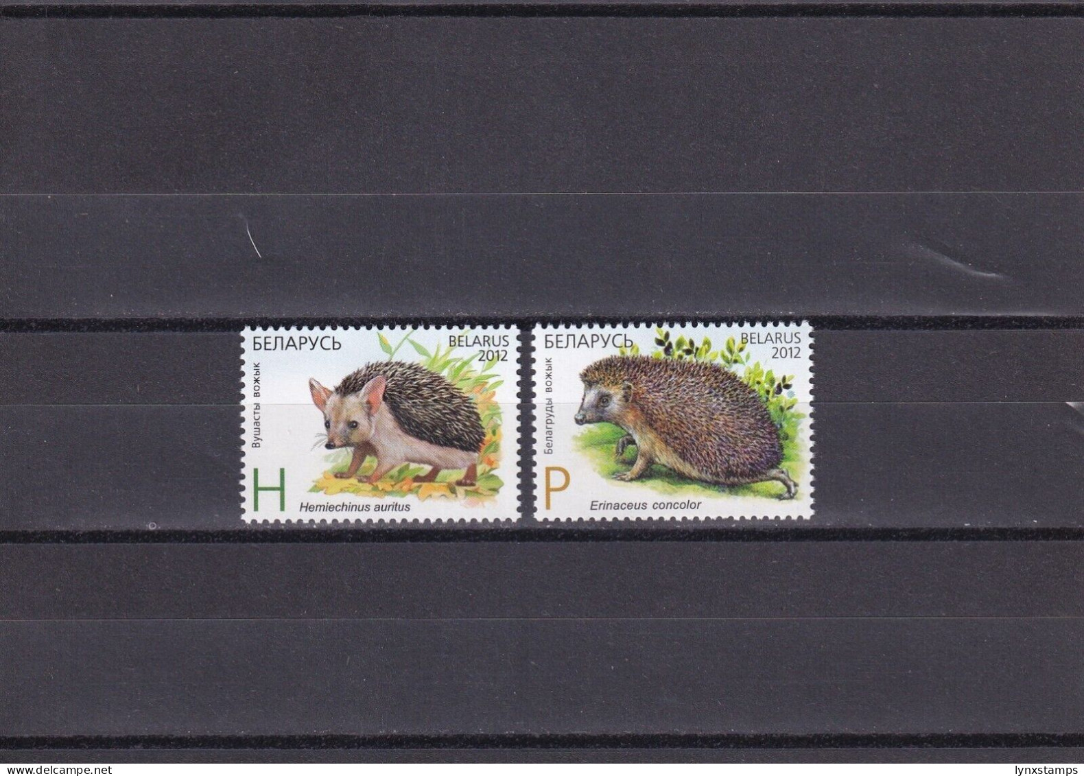 SA06 Belarus 2012 Hedgehogs - Joint Issue With Kazakhstan Mint Stamps - Emissions Communes