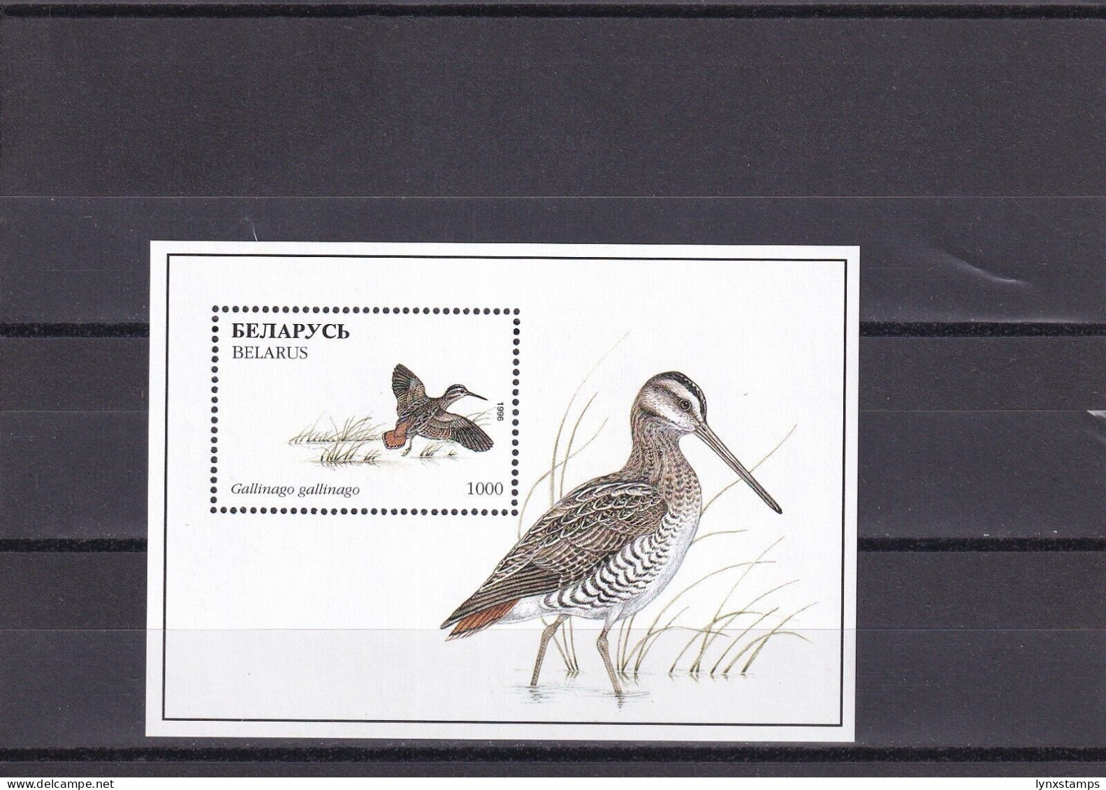 SA06a Belarus 1996 Birds Mint Minisheet - Bielorrusia