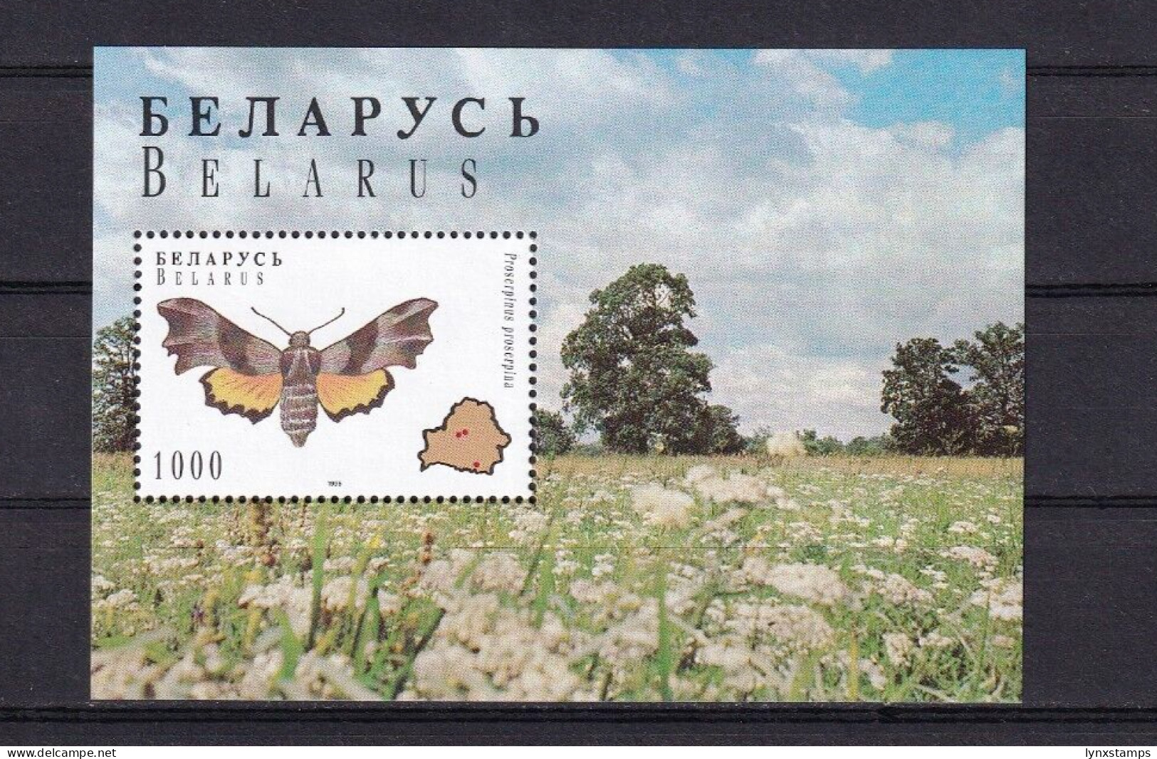 SA06a Belarus 1996 Yellow Butterflie Mint Minisheet - Wit-Rusland