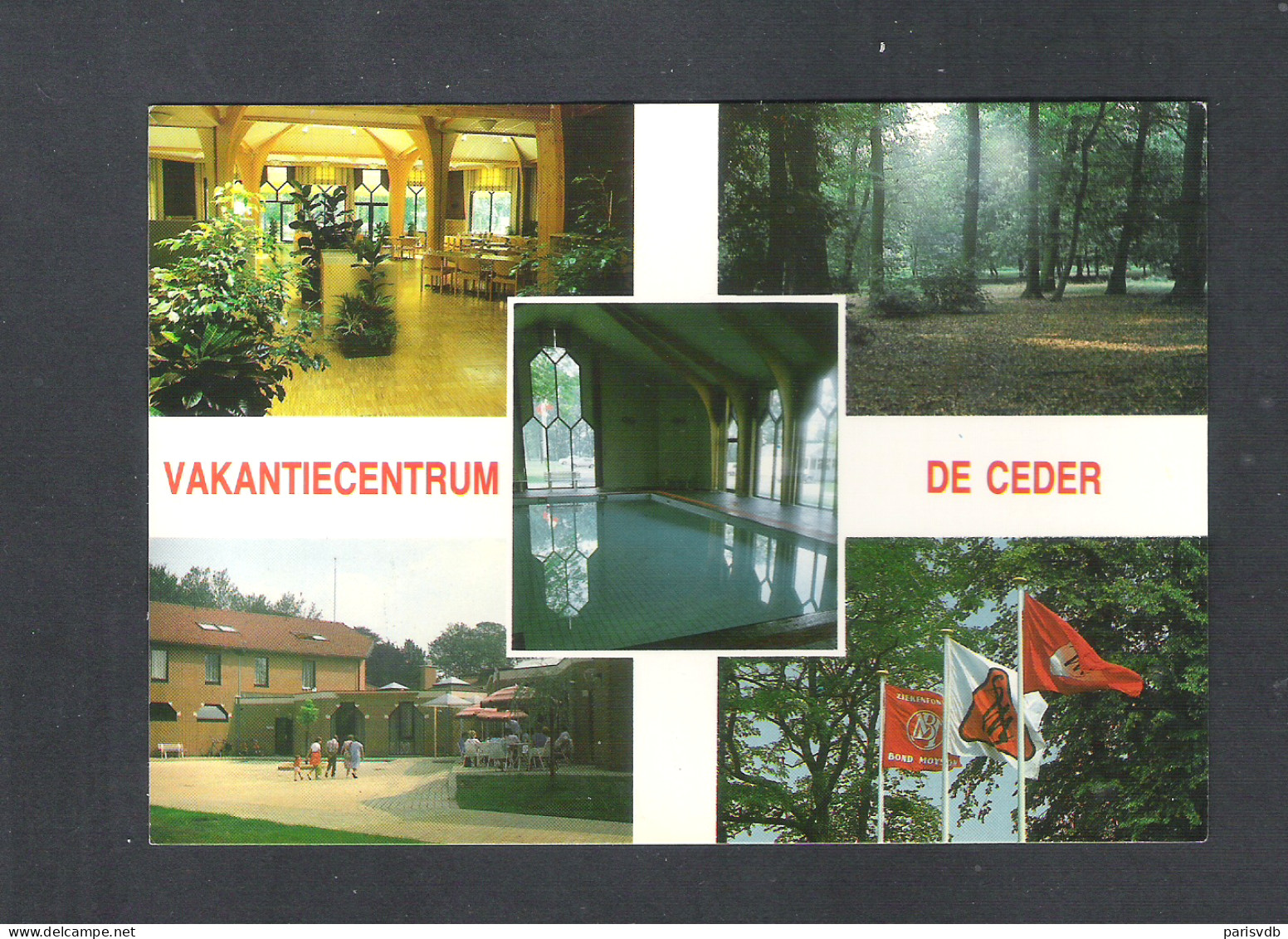 DEINZE - VAKANTIECENTRUM "DE  CEDER"  (11.061) - Deinze