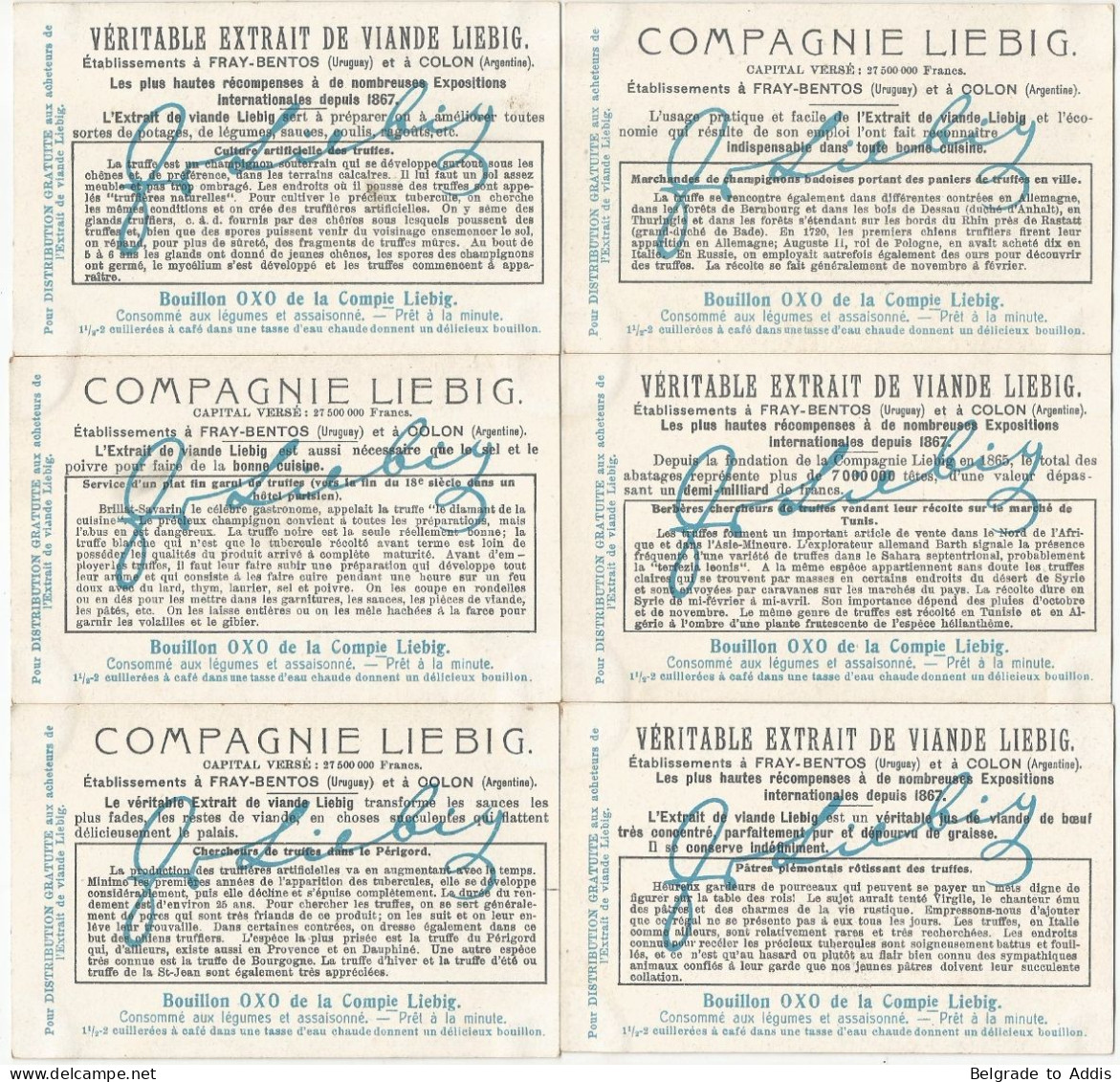 Chromo Liebig Série Compl. De 6 Chromos S_1031 La Truffe 1911 - Liebig