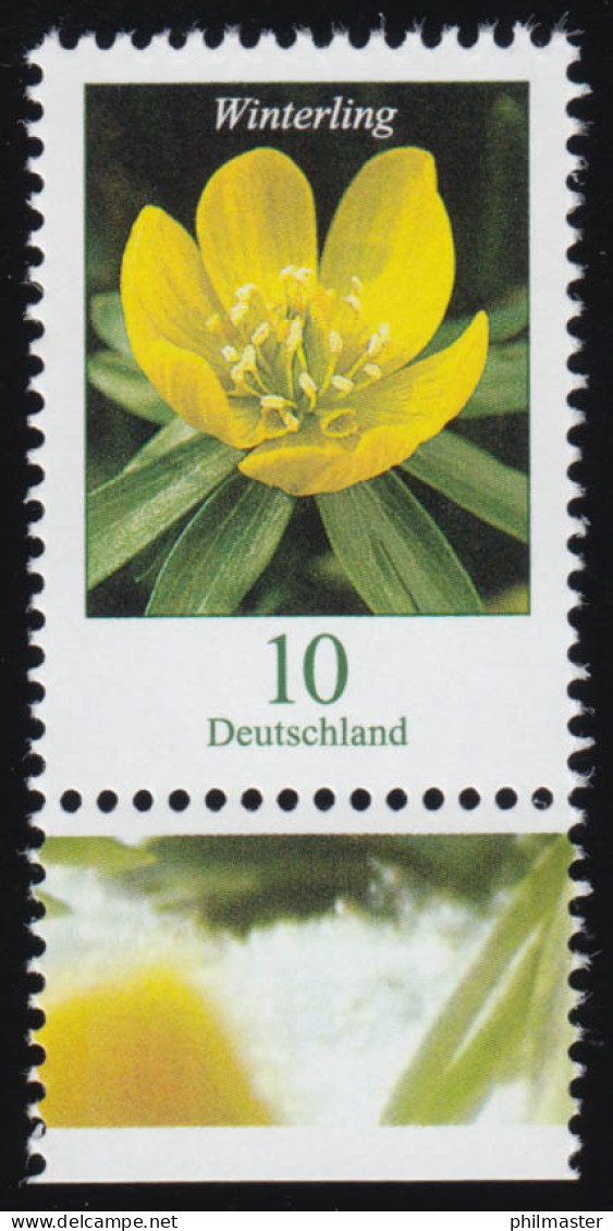 3314 Blume Winterling 10 Cent, Nassklebend, Aus Bogen, Postfrisch ** - Ongebruikt