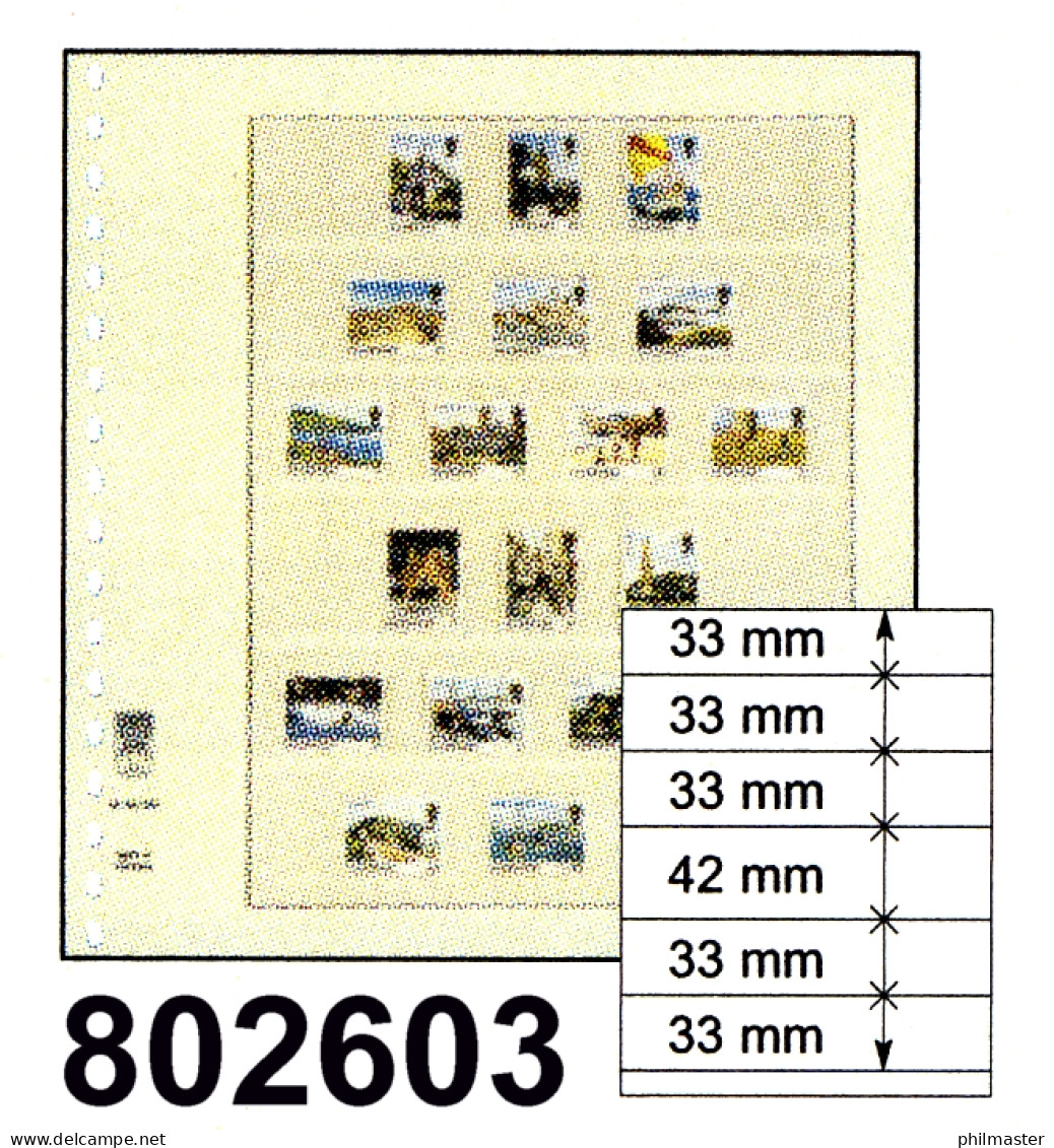 LINDNER-T-Blanko-Blätter Nr. 802 603 - 10er-Packung - Fogli Bianchi