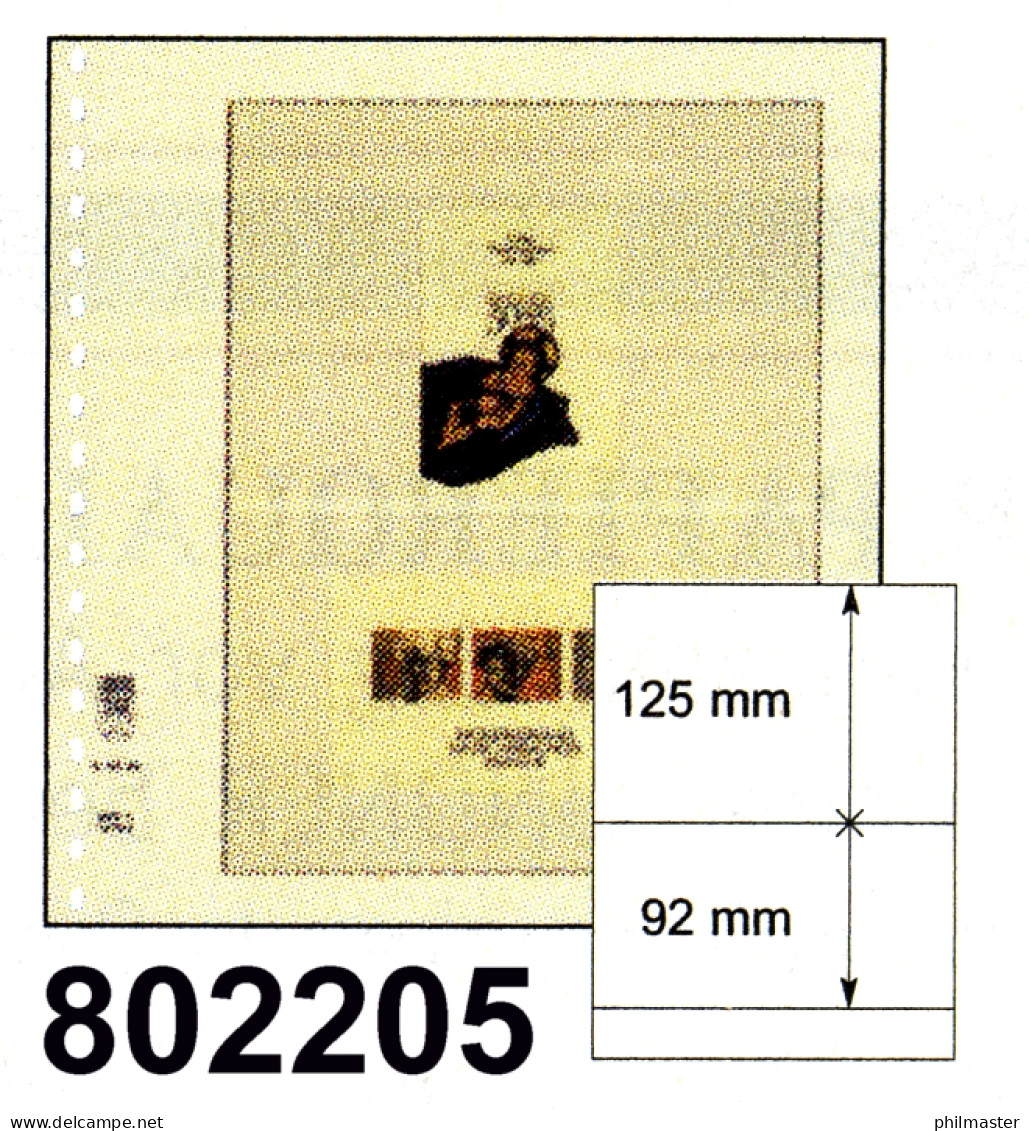 LINDNER-T-Blanko-Blätter Nr. 802 205 - 10er-Packung - Fogli Bianchi