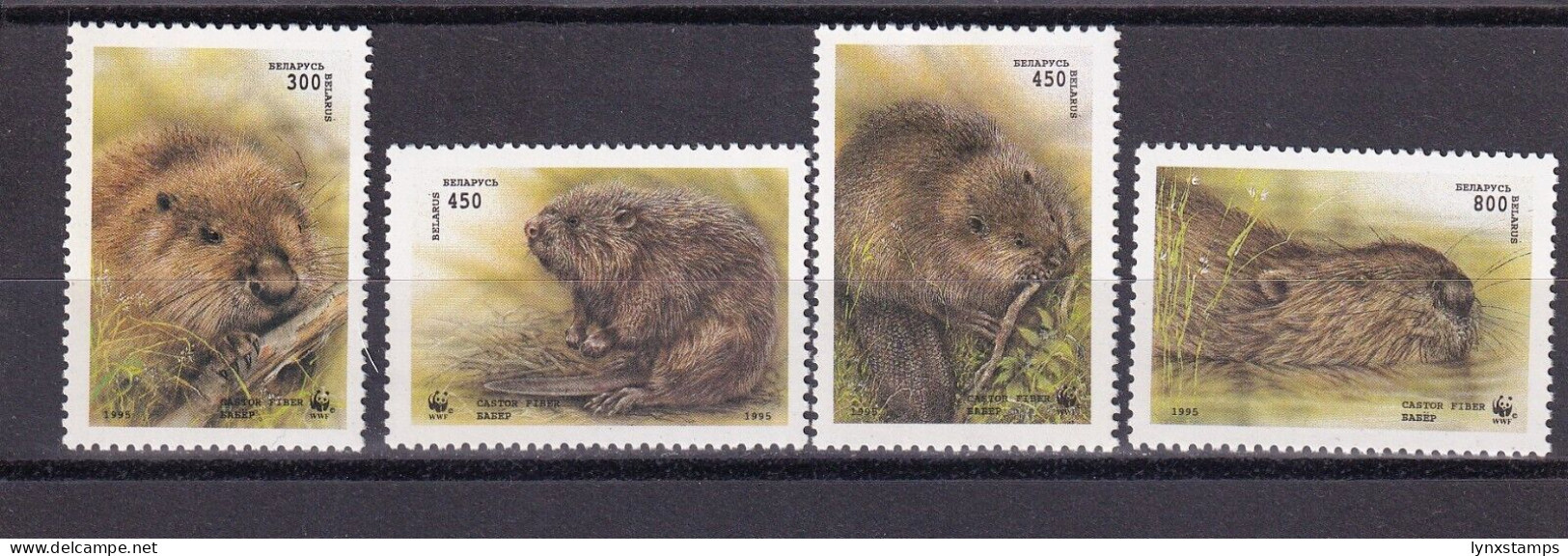 SA06 Belarus 1995 European Beaver Mint Stamps - Bielorussia