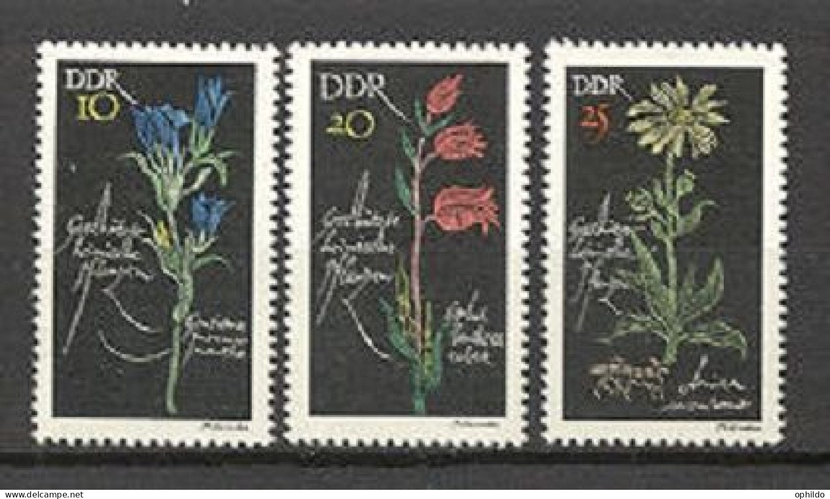 DDR    933/935    * *  TB   Fleur  - Unused Stamps