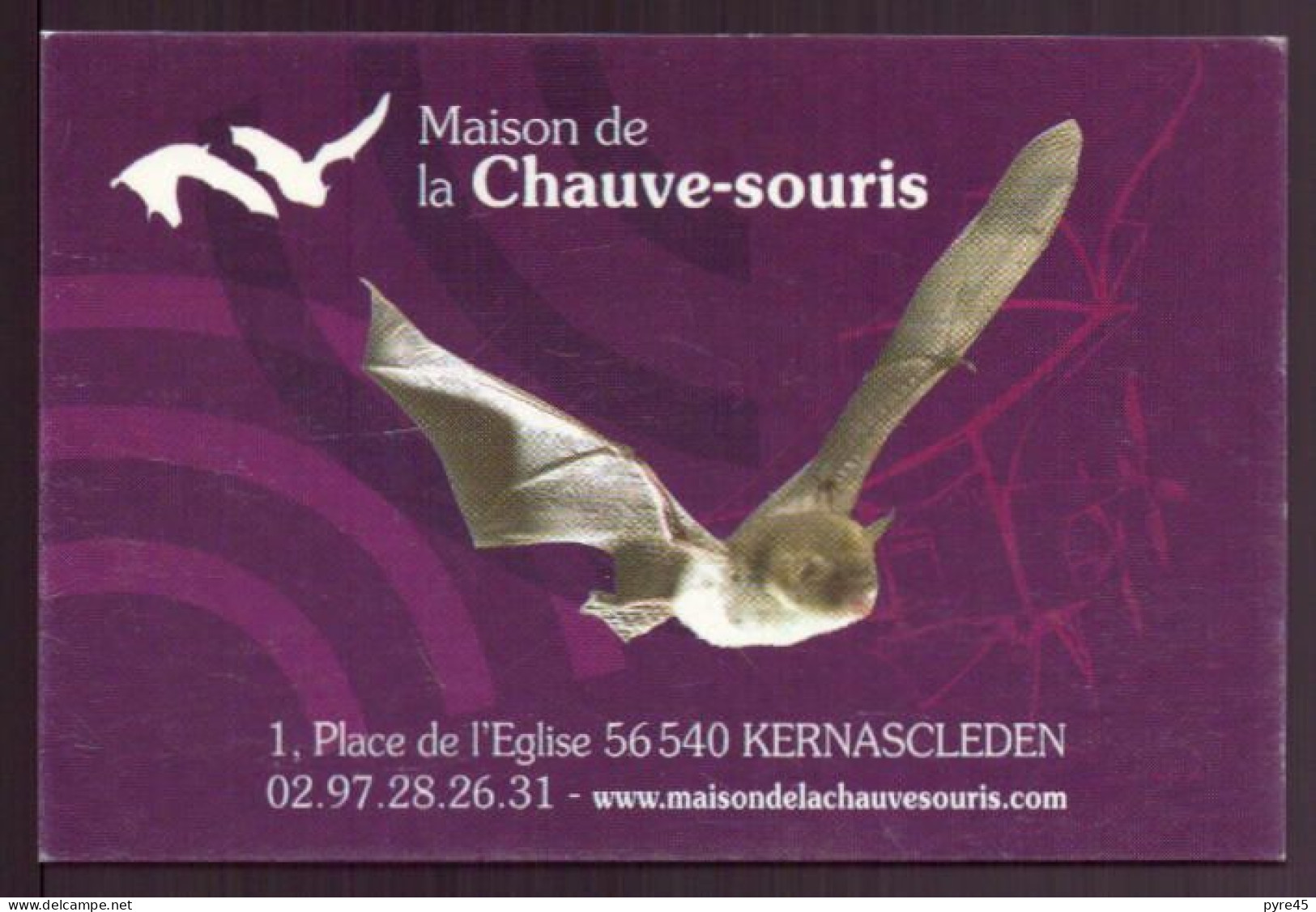 CARTE PUBLICITAIRE MAISON DE LA CHAUVE SOURIS A KERNASCLEDEN - Cartes De Visite