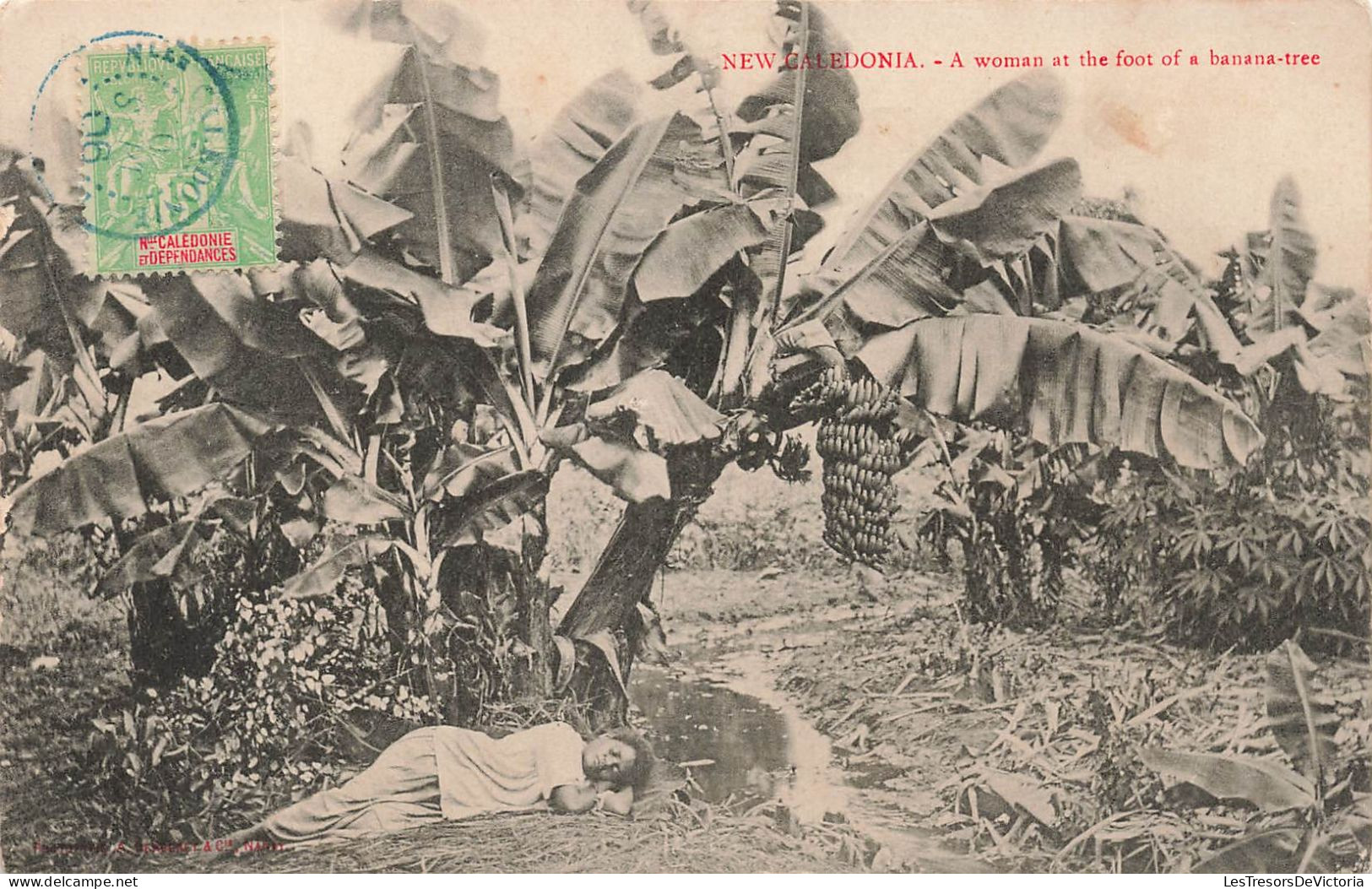 NOUVELLE CALEDONIE - A Woman At The Foot Of E Banana-tree - Carte Postale Ancienne - Neukaledonien