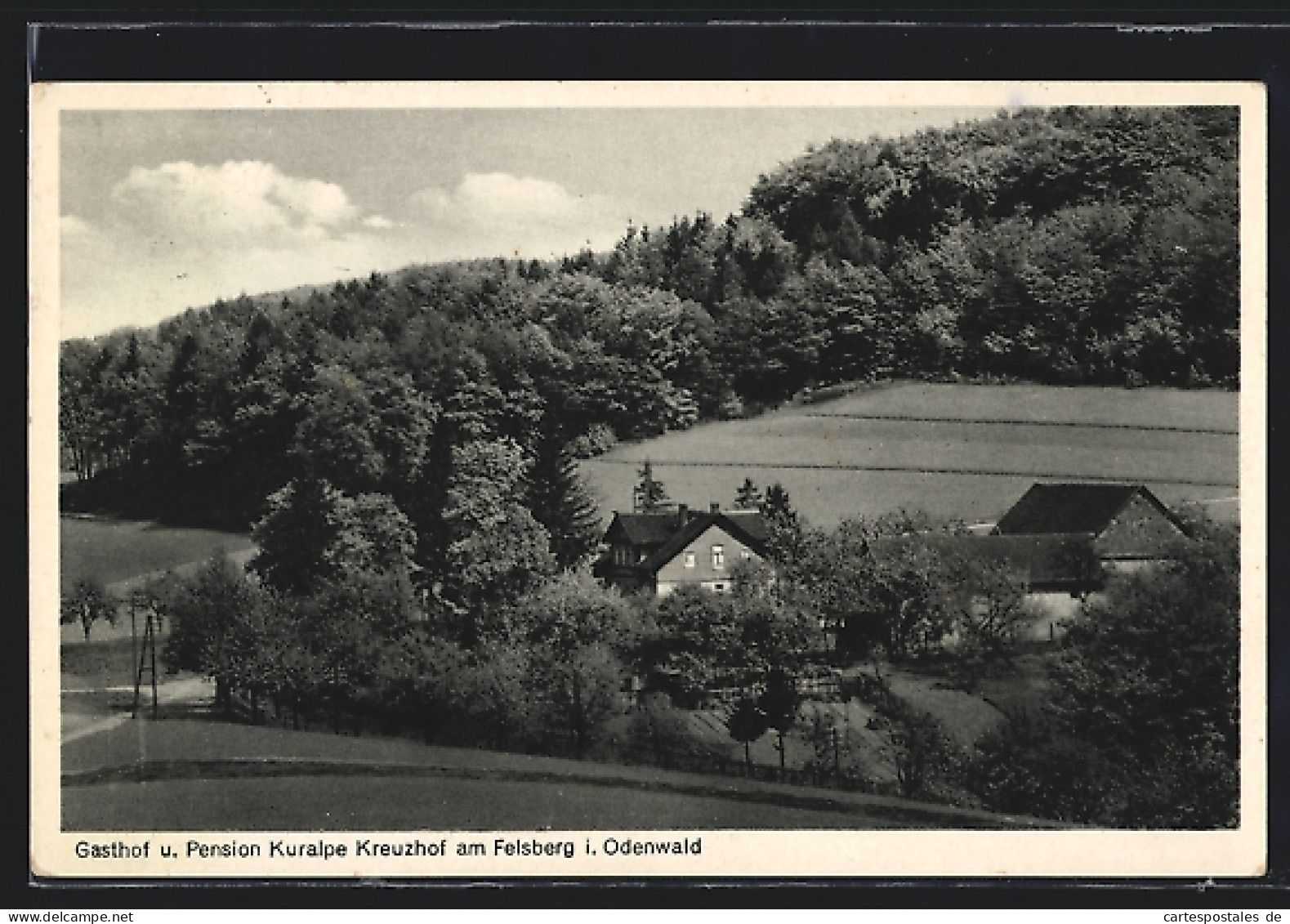 AK Felsberg / Odenwald, Gasthof Und Pension Kuralpe Kreuzhof  - Odenwald