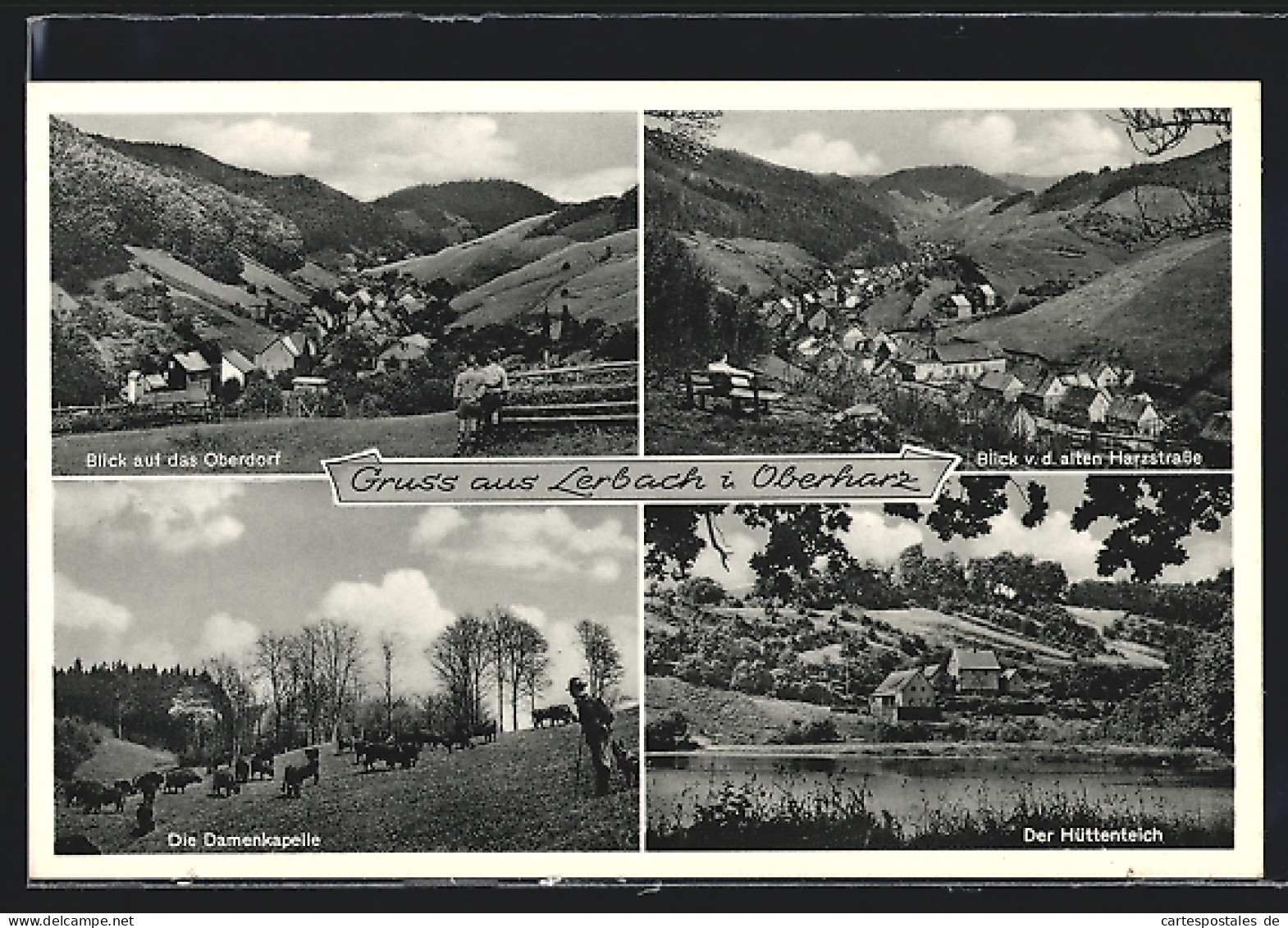 AK Lerbach / Oberharz, Hüttenteich, Damenkapelle, Gesamtansichten  - Oberharz