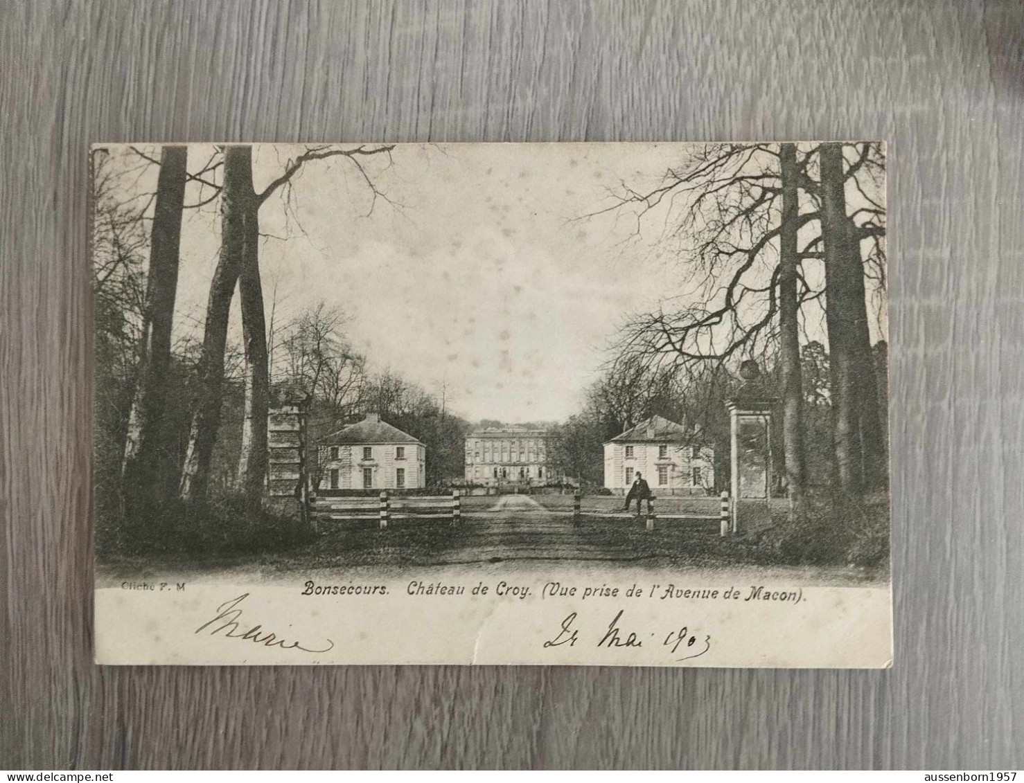 Bonsecours : Château De Croy : Carte Dos Non Divisé Envoyée En 1903 - Péruwelz