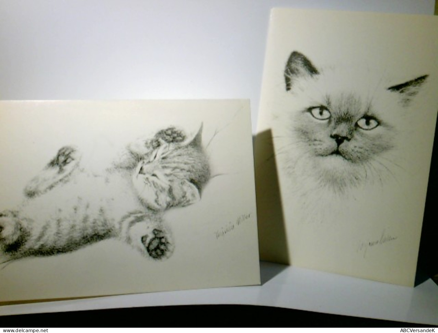 Vintage / Nostalgie. Katzen. 2 X Klappkarte / Künstlerkarte S/w Von Virginia Miller, Unbeschrieben, Alter O.A - Ohne Zuordnung