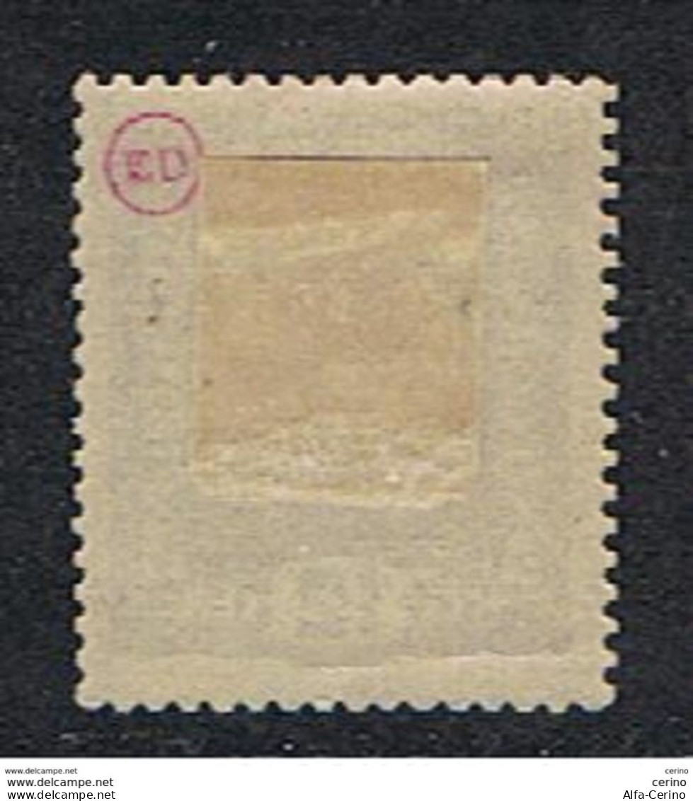 TRENTINO: 1918  SOPRASTAMPATO  -  12 H. VERDE  AZZURRO  L. -  TIMBRETTO  CD  -  SASS. 5  -  SPL - Trentino