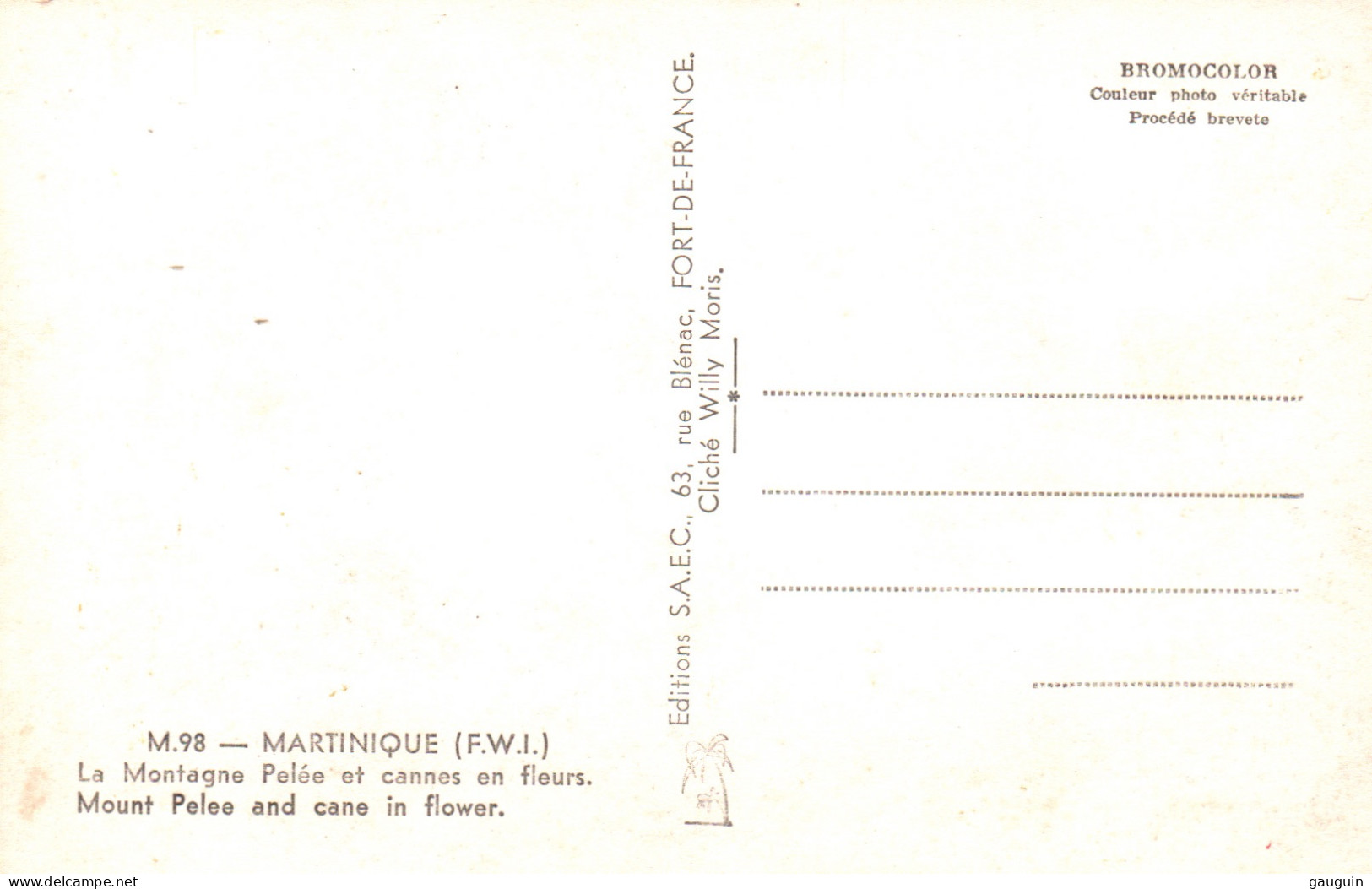CPSM - MARTINIQUE - La Montagne Pelée Et Cannes En Fleurs - Edition S.A.E.C. (format 9x14) - Autres & Non Classés
