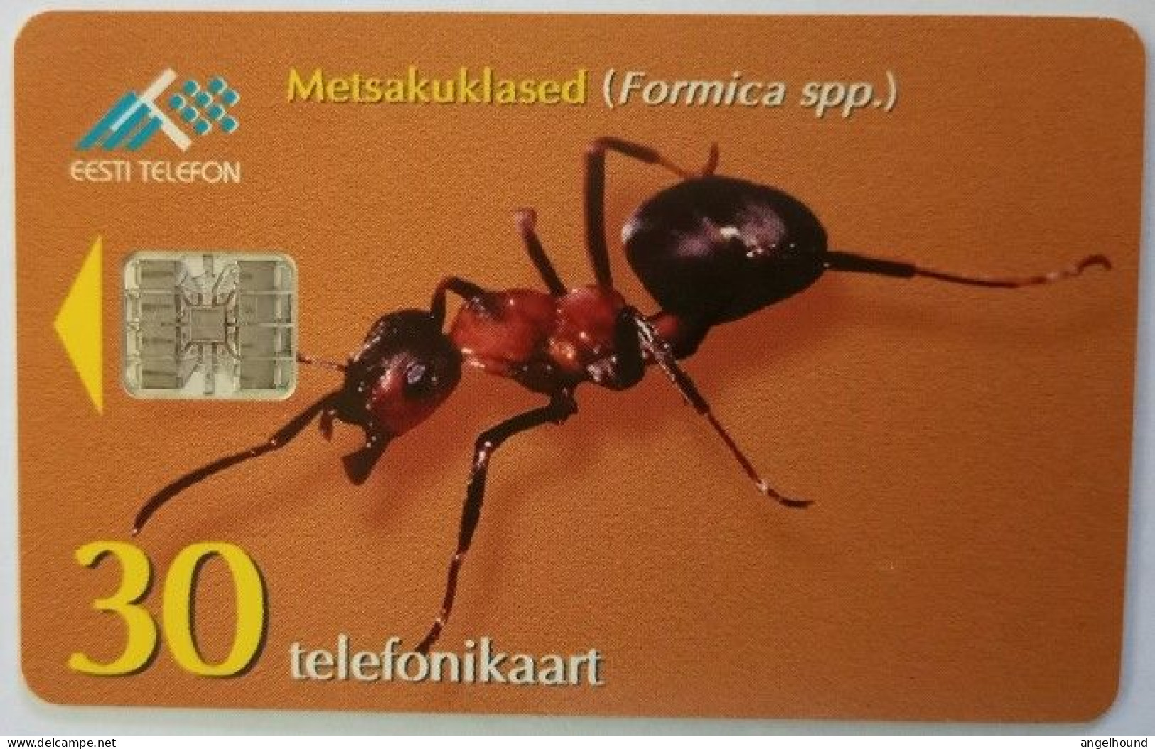 Estonia 30 Kr. Chip Card - Wood Ant - Estland