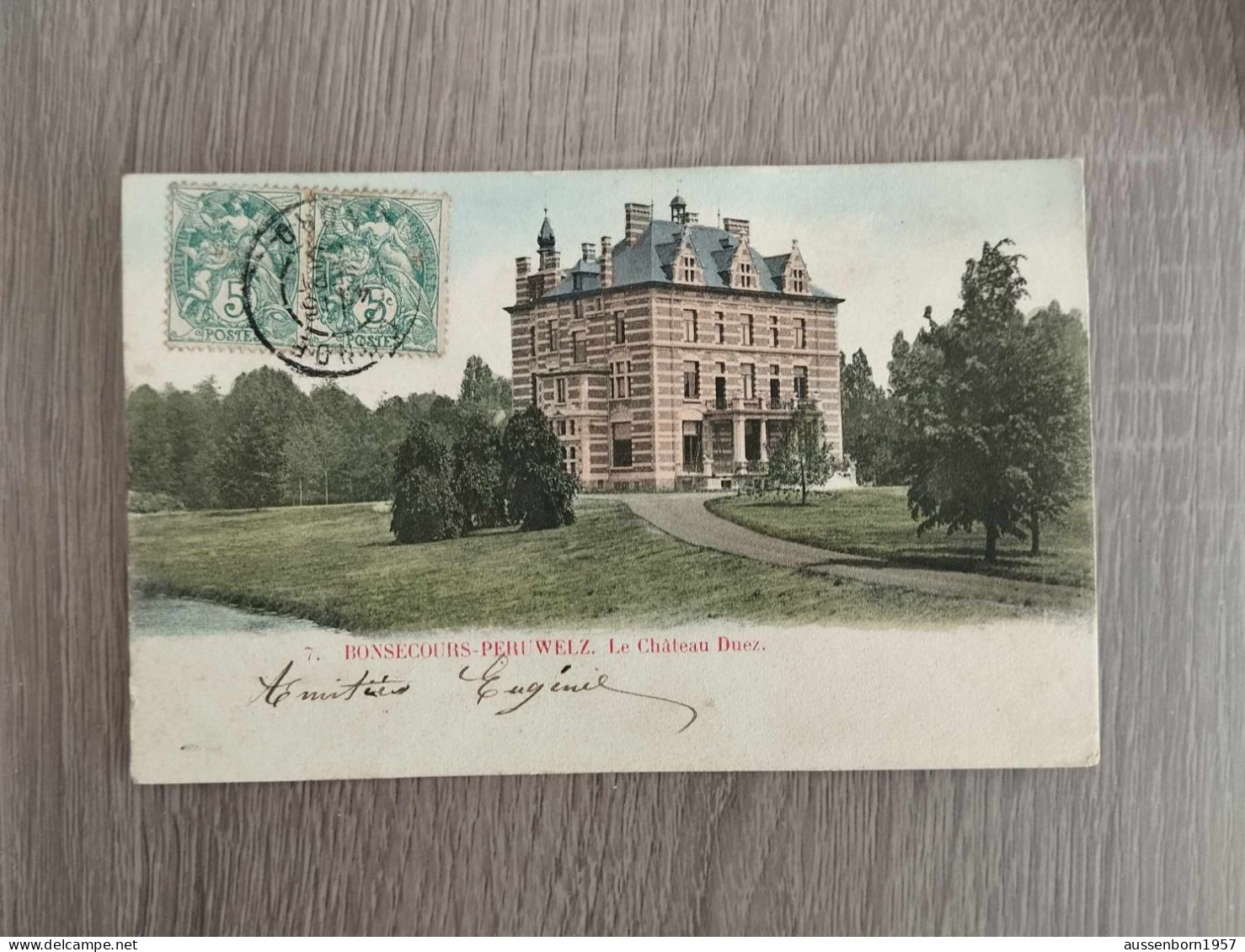 Bonsecours : Château Duez : Carte Dos Non Divisé Envoyée En 1905 ??? - Péruwelz