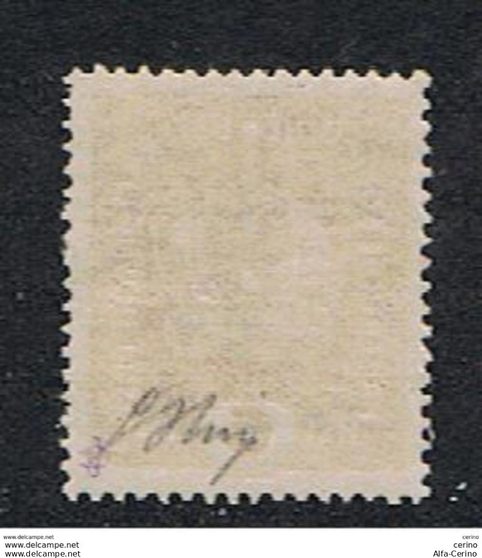 TRENTINO: 1918  SOPRASTAMPATO  -  6 H. ARANCIO  N. -  G. OLIVA  -  SASS. 3  -  SPL - Trentino