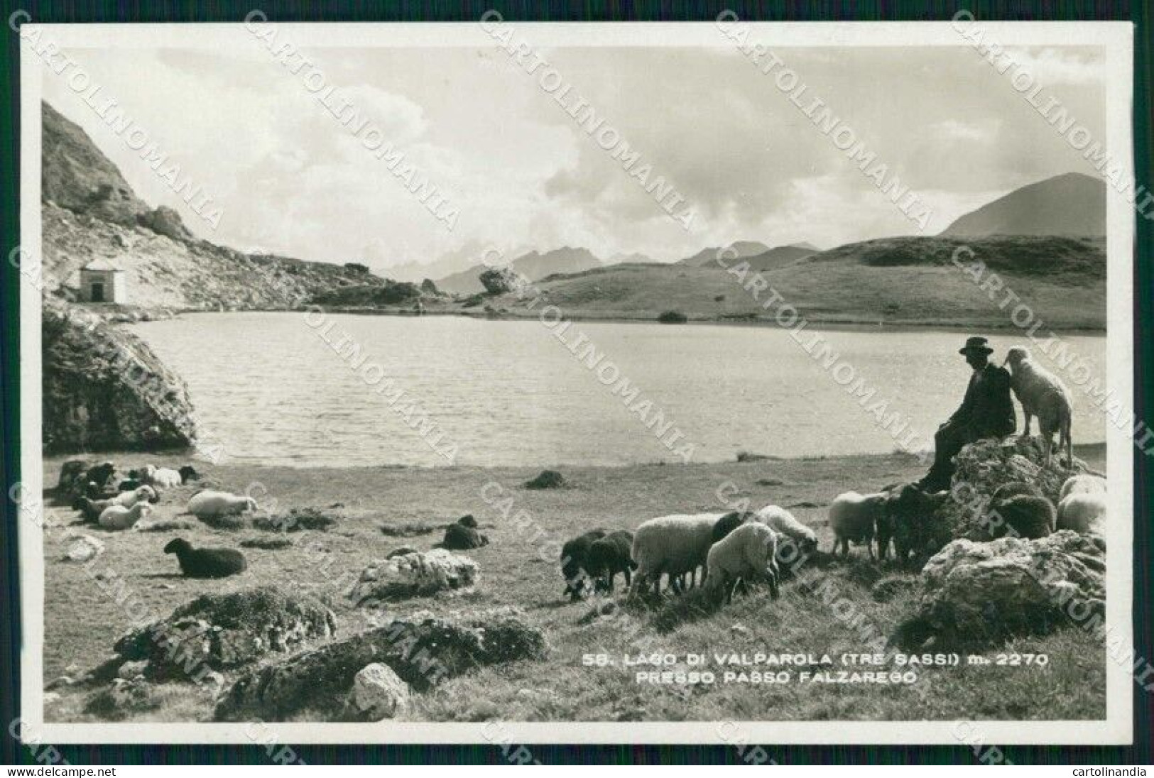 Belluno Cortina D'Ampezzo Passo Falzarego Lago Valparola Foto Cartolina RB9886 - Belluno