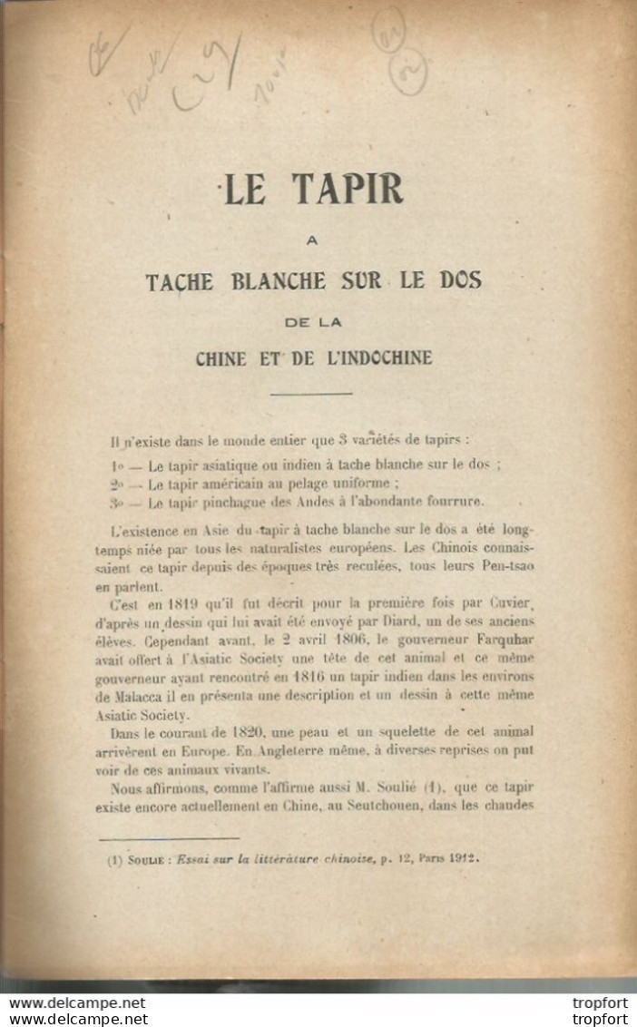 GP / RARE LIVRET LE TAPIR A Tache Blanche Sur Le Dos CHINE INDOCHINE 1921 - Nature