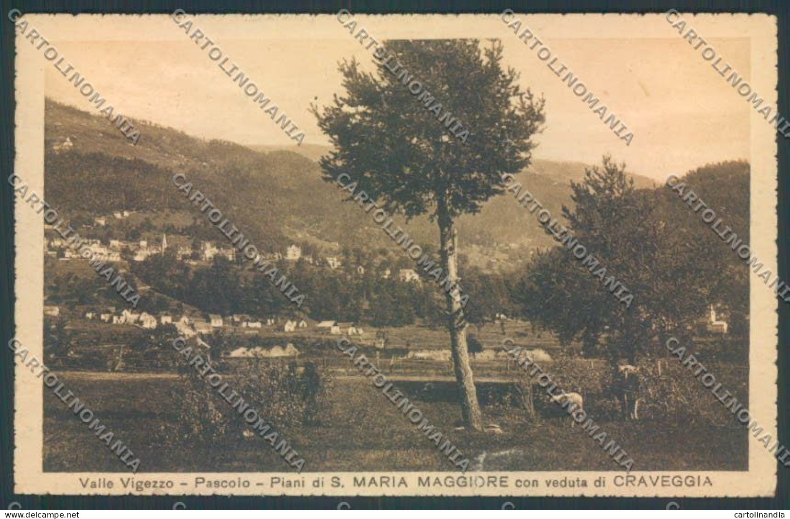 Verbania Santa Maria Maggiore PIEGHINE STRAPPO Cartolina ZQ8580 - Verbania