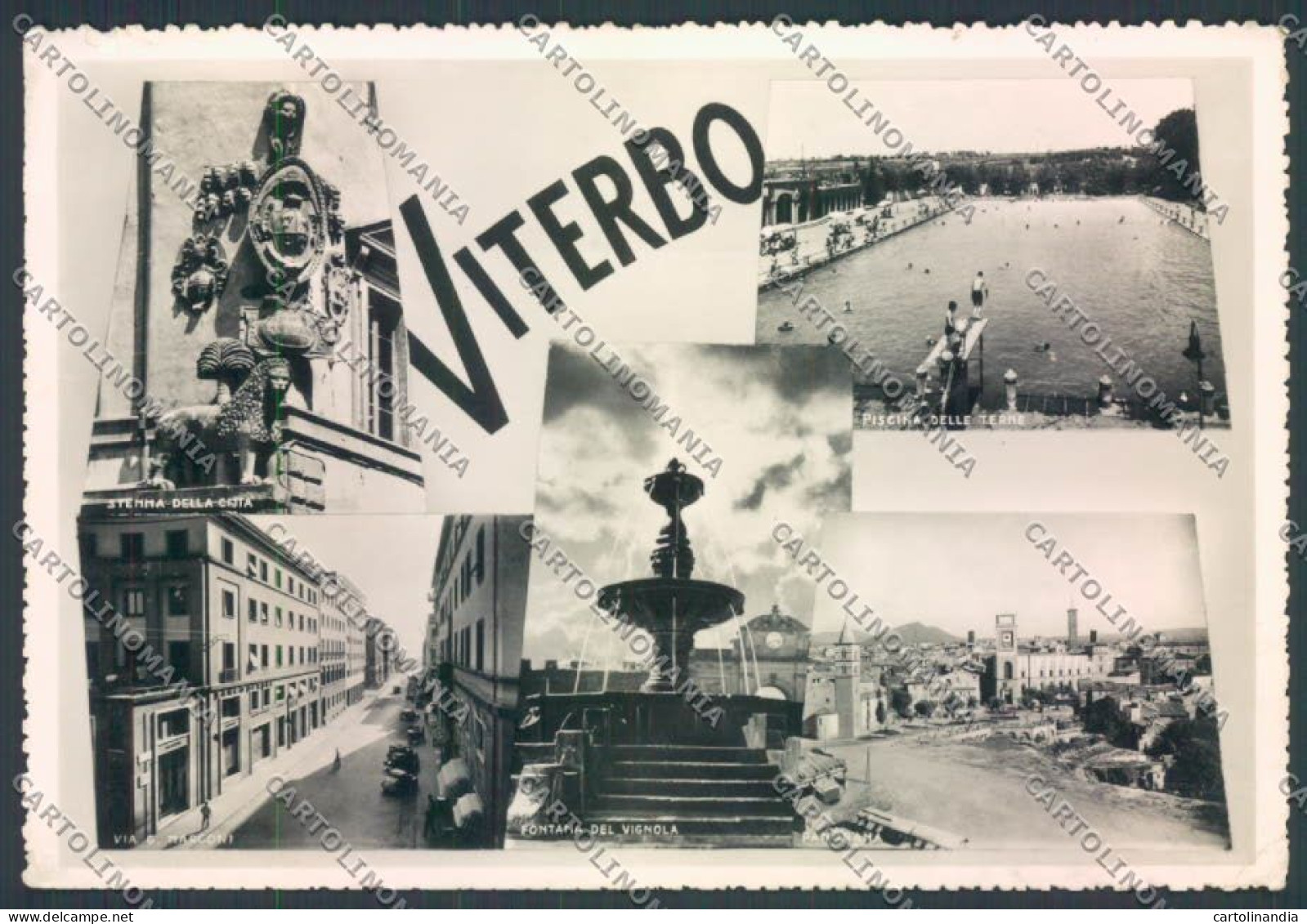 Viterbo Città ABRASA Foto FG Cartolina ZF8667 - Viterbo