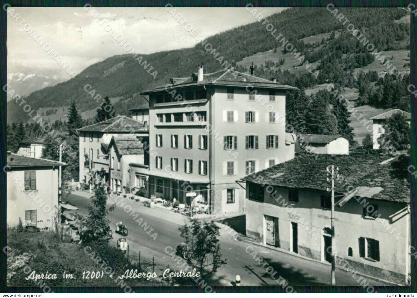 Sondrio Aprica Foto FG Cartolina ZK6512 - Sondrio