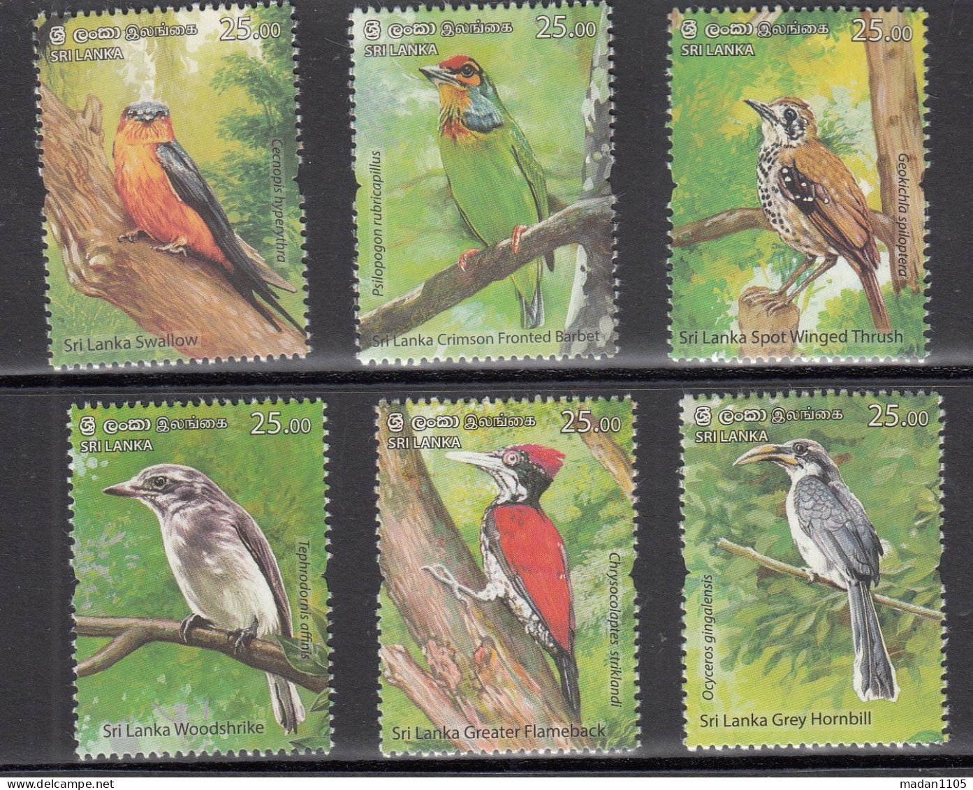 SRI LANKA 2021  ENDEMIC BIRDS Of Sri Lanka, Set 6v Complete MNH(**) - Sri Lanka (Ceylon) (1948-...)