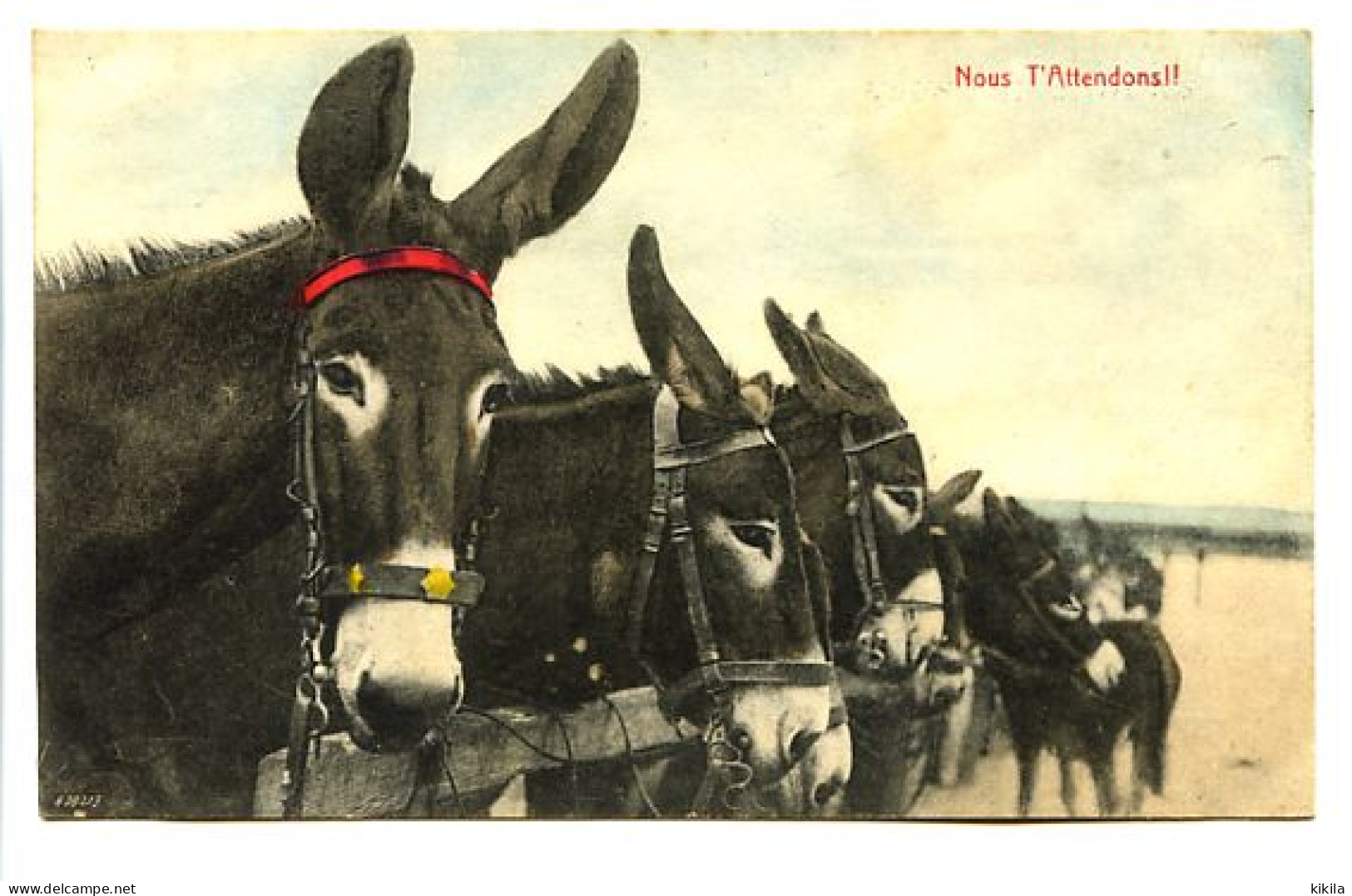 CPA 9 X 14 Humoristique "Nous T'attendons"  Photo D'ânes - Burros