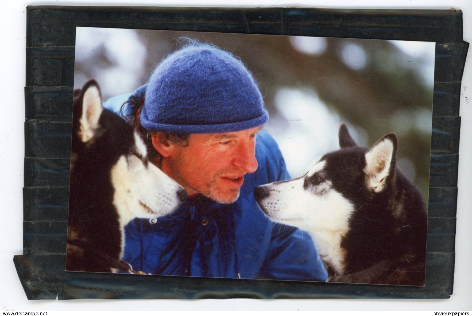 Diapositive Et Photo Originale .  Chiens De Traineaux  , HUSKY ,  MALAMUTE D'ALASKA .. Photos  VINITZKY VLADIMIR   1987 - Places