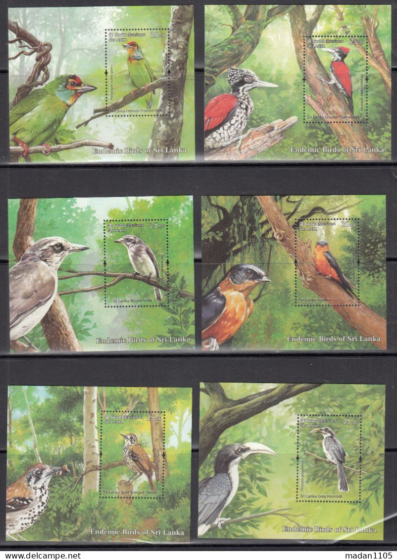 SRI LANKA, 2021,  ENDEMIC BIRDS Of Sri Lanka, Set 6 V Complete , Miniature Sheets, MNH, (**) - Sri Lanka (Ceylon) (1948-...)