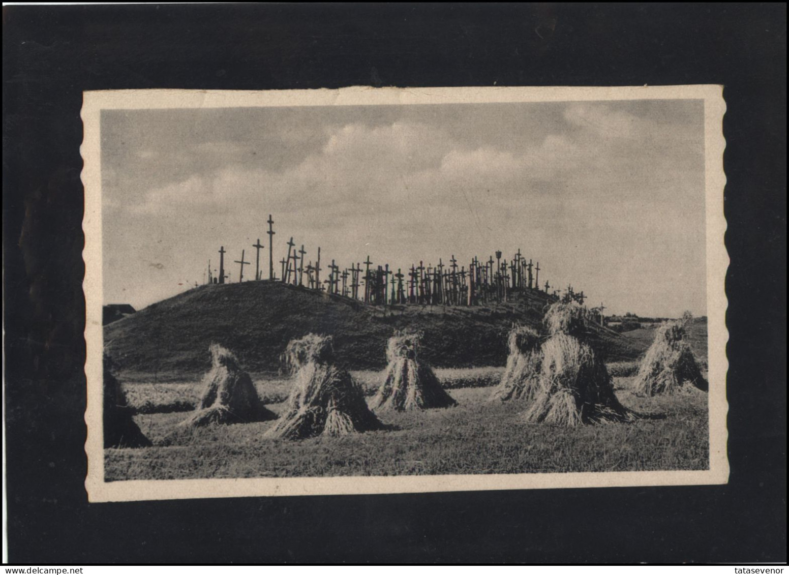 Post Card Lithuania LT Pc 103 SIAULIAI Hill Of Crosses Photographer V. Augustinas - Lithuania