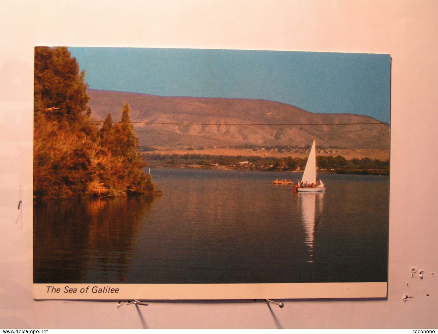 Le Fleuve Jourdain Sortant Du Lac De Galilée - Israël