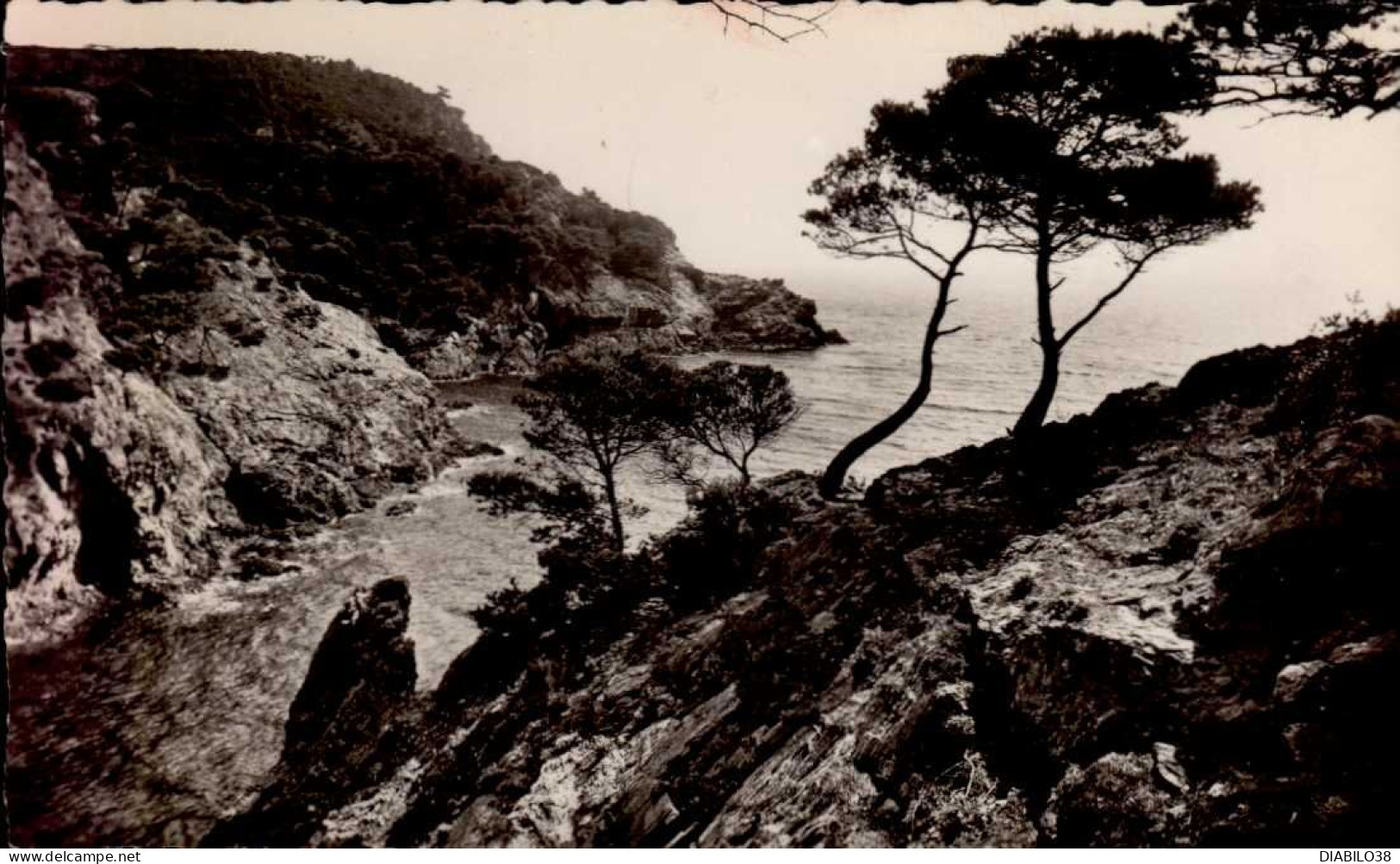 PORQUEROLLES   ( VAR )   2 CARTES . L ' OUSTAOU DE DIOU. LA PLAGE D ' ARGENT - Porquerolles