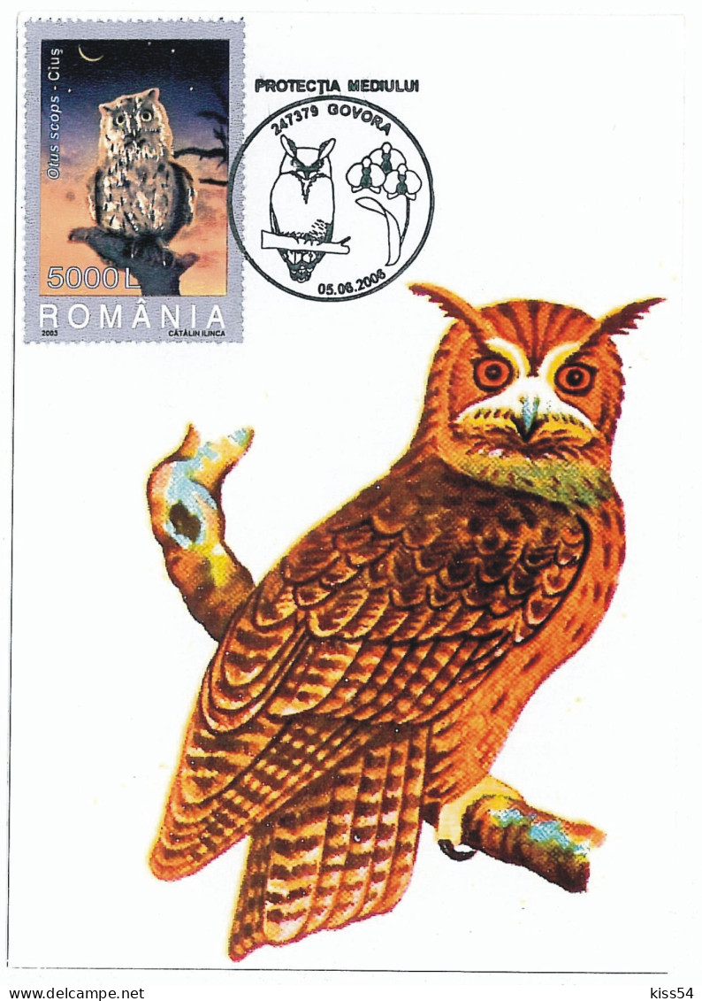 MAX 31 - 127 OWL, Romania - Maximum Card - 2006 - Owls