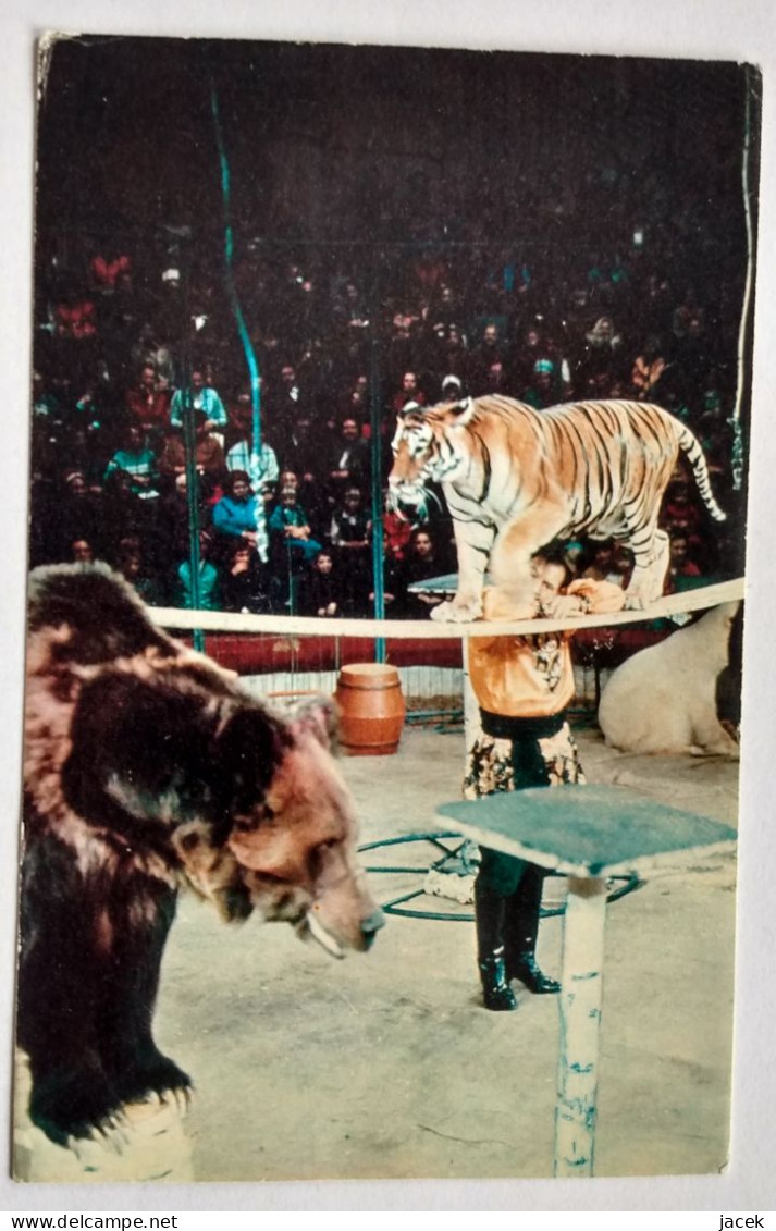 Tiger Bear Circus  /  CCCP Postcard - Circo