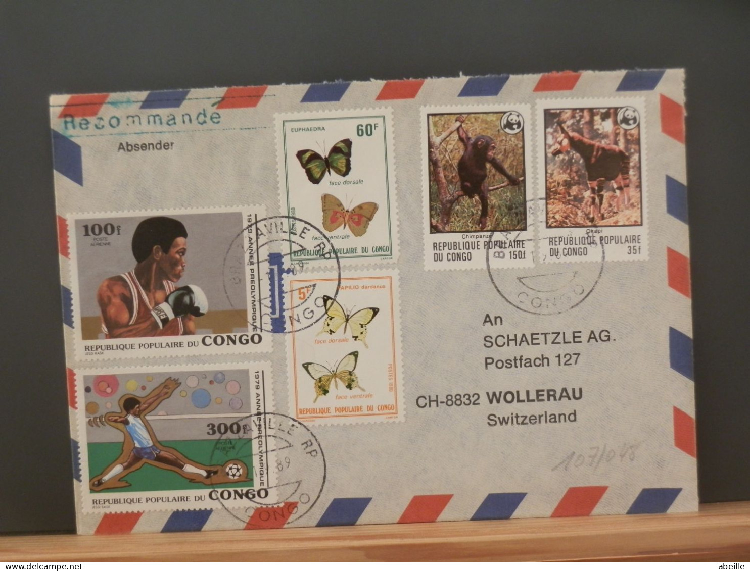 107/048 LETTRE  CONGO  BRAZZA  WWF - Cartas & Documentos