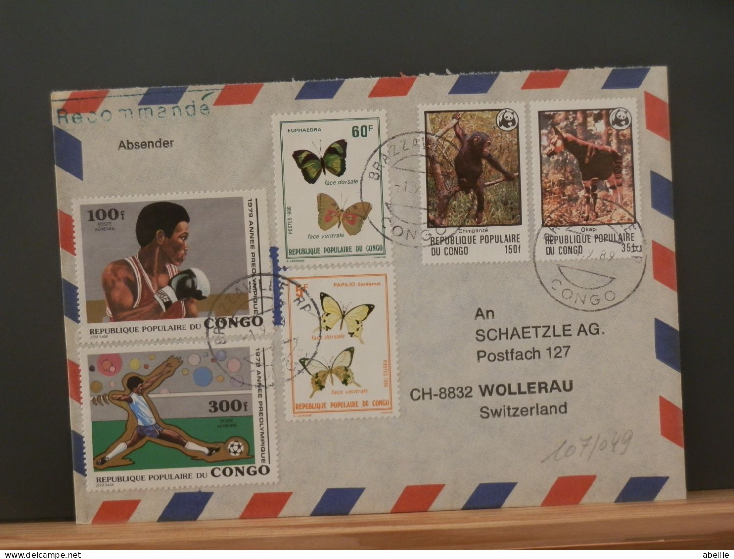 107/049 LETTRE  CONGO  BRAZZA  WWF - Cartas & Documentos