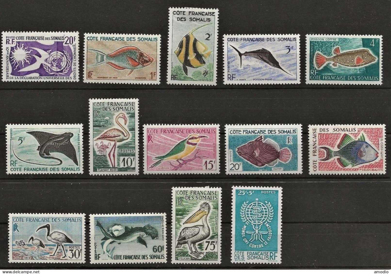 Cote Des Somalis Y&T 291/303 Poissons N* Infime - Unused Stamps