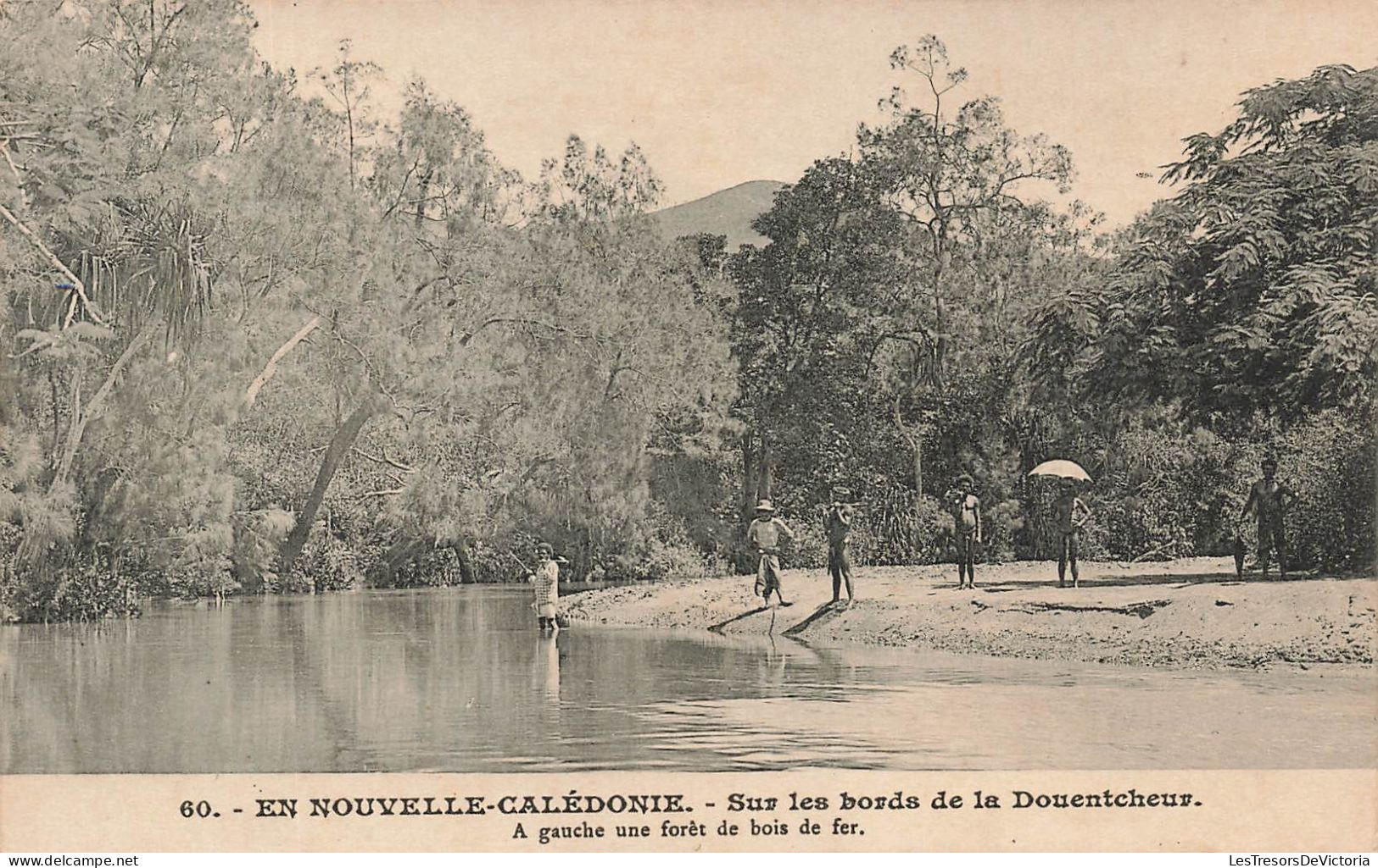 NOUVELLE CALEDONIE - Sur Les Bords De La Douentcheur - Forêt De Bois De Fer - Carte Postale Ancienne - Nouvelle-Calédonie
