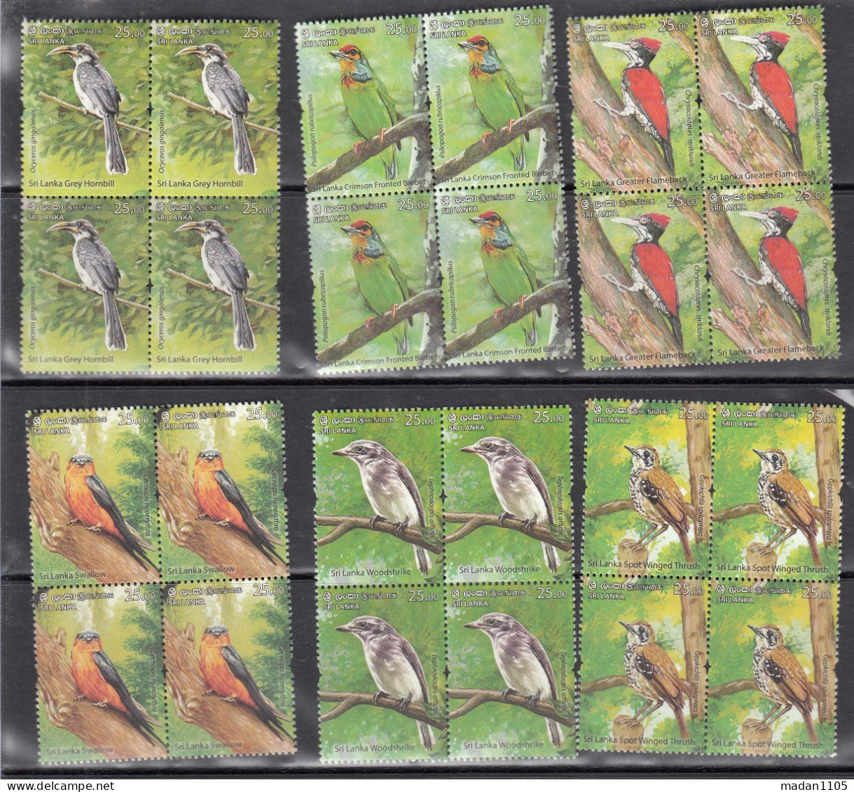 SRI LANKA, 2021,  ENDEMIC BIRDS Of Sri Lanka, Set 6 V Complete , Blocks Of 4,  MNH, (**) - Sri Lanka (Ceilán) (1948-...)