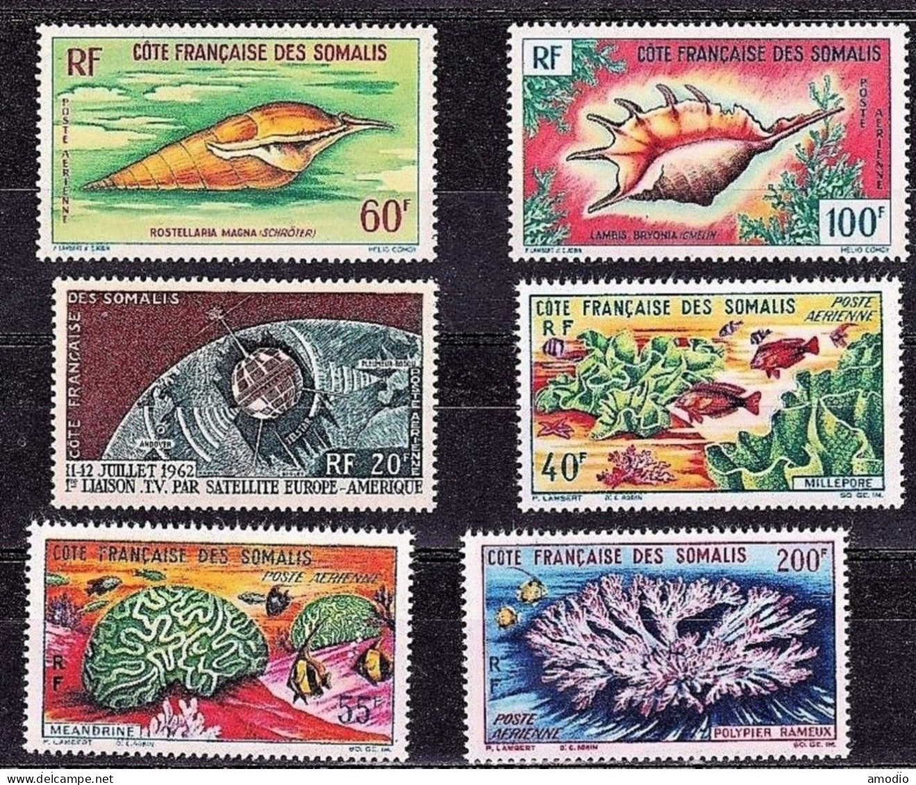 Cote Des Somalis PA 31/36 N* (infime) Coquillages Mer Rouge Et Faune Coralienne - Unused Stamps