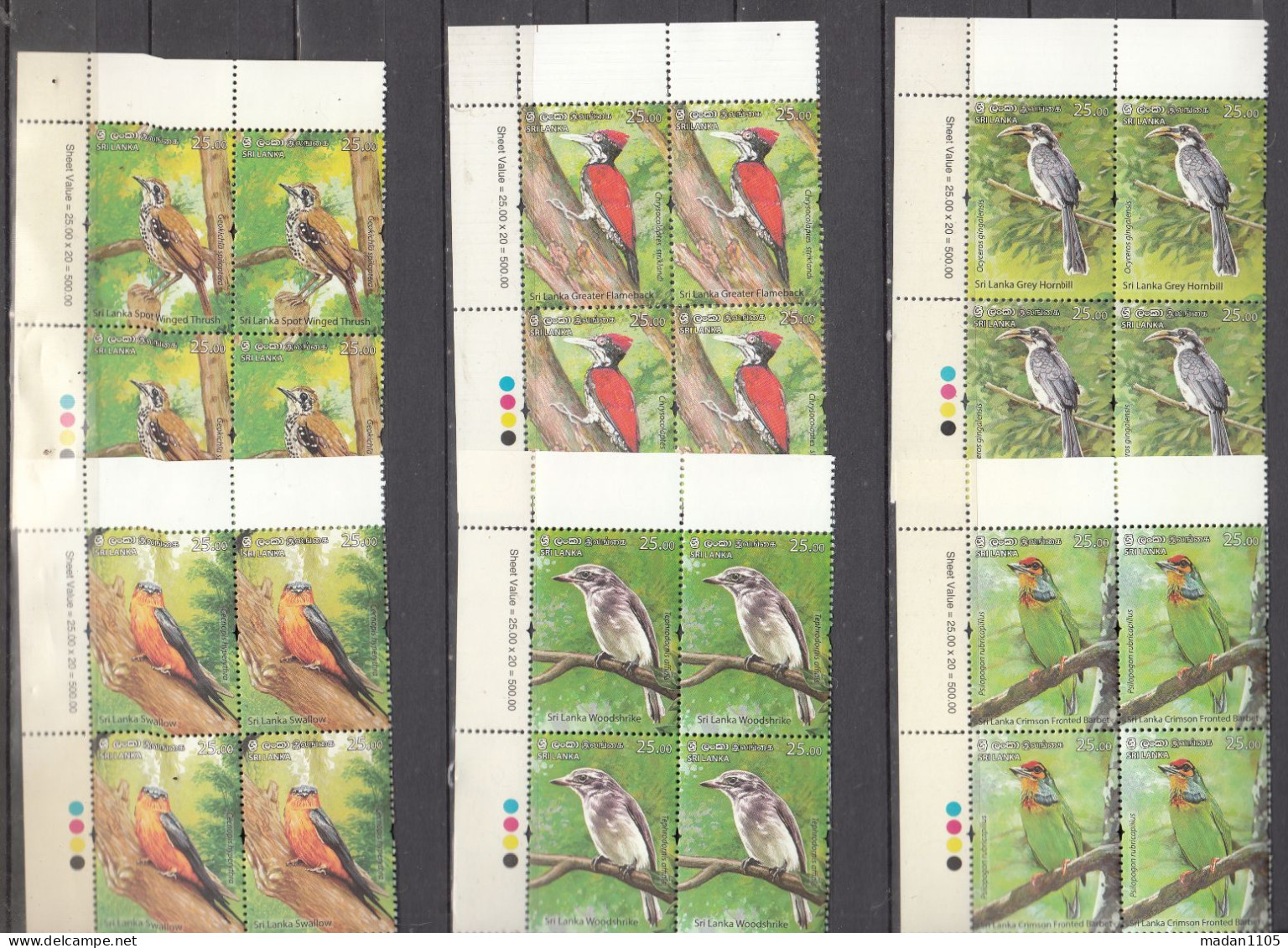 SRI LANKA, 2021,  ENDEMIC BIRDS Of Sri Lanka, Set 6 V Complete , Blocks Of 4 With Traffic Lights,  MNH, (**) - Sri Lanka (Ceylan) (1948-...)