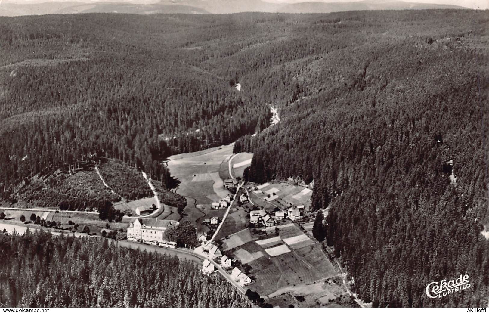 Gompelscheuer-Enzklösterle Bei Wildbad (württ. Schwarzwald) 700 M. M. - Calw