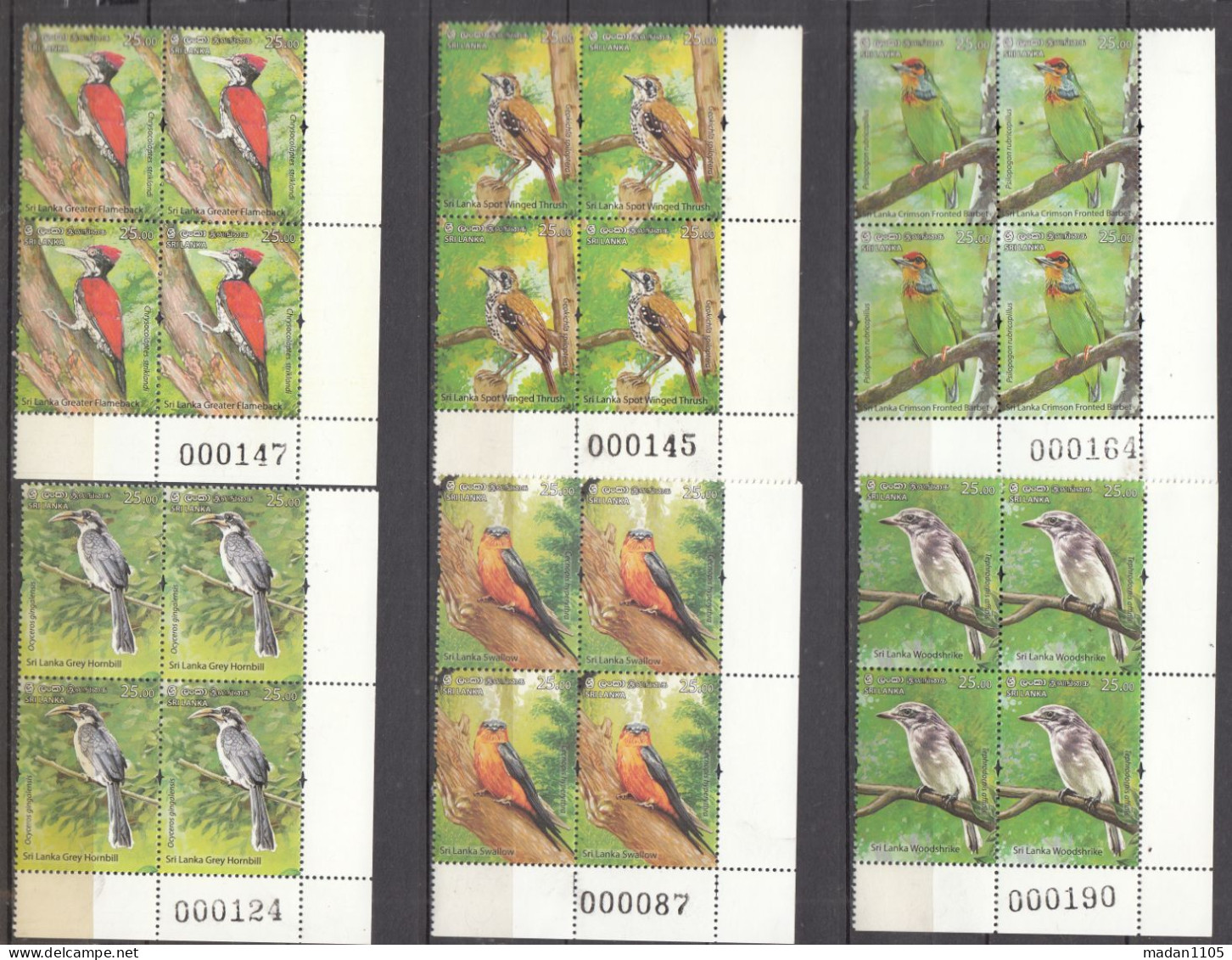 SRI LANKA, 2021,  ENDEMIC BIRDS Of Sri Lanka, Set 6 V Complete , Blocks Of 4 With Serial No In Margin,  MNH, (**) - Sri Lanka (Ceilán) (1948-...)